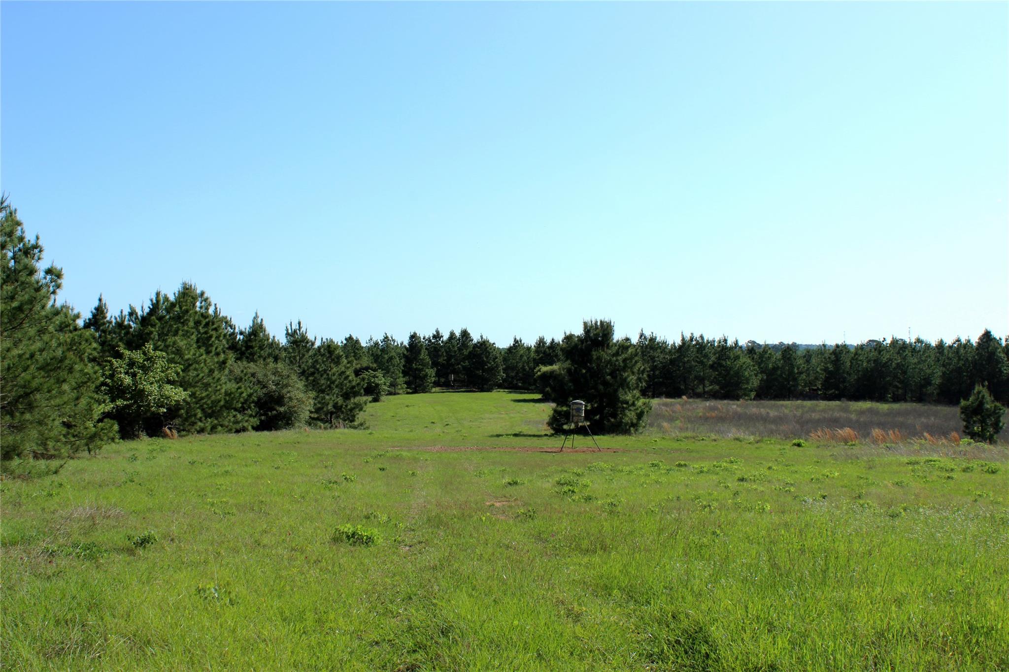 Tbd Crafts Prairie Rd Property Photo 36