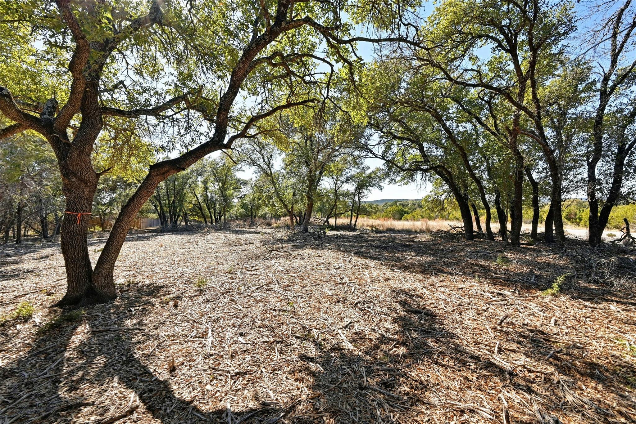 2205 Thurber Ln Property Photo 2