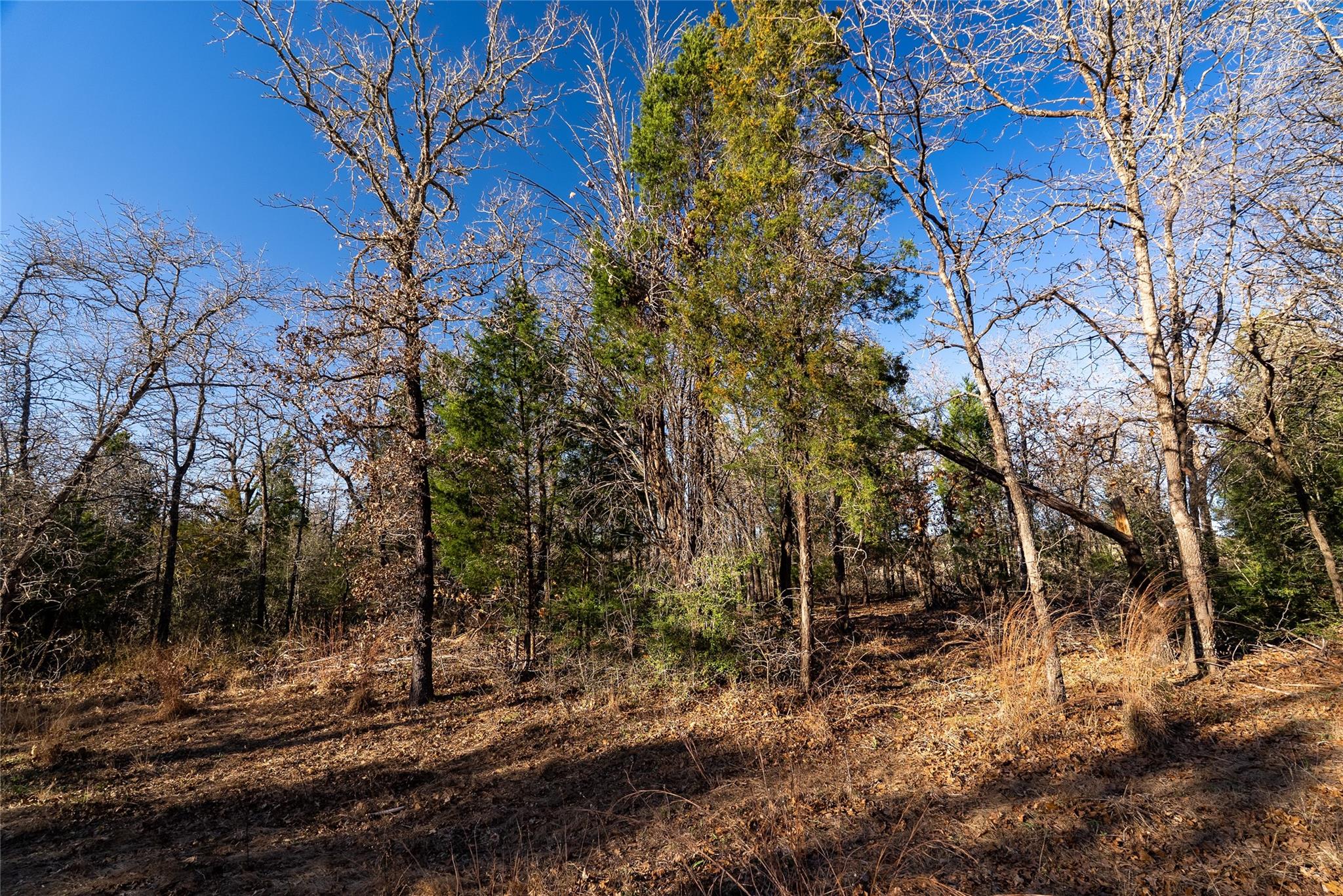 763 N County Line Rd Property Photo 13