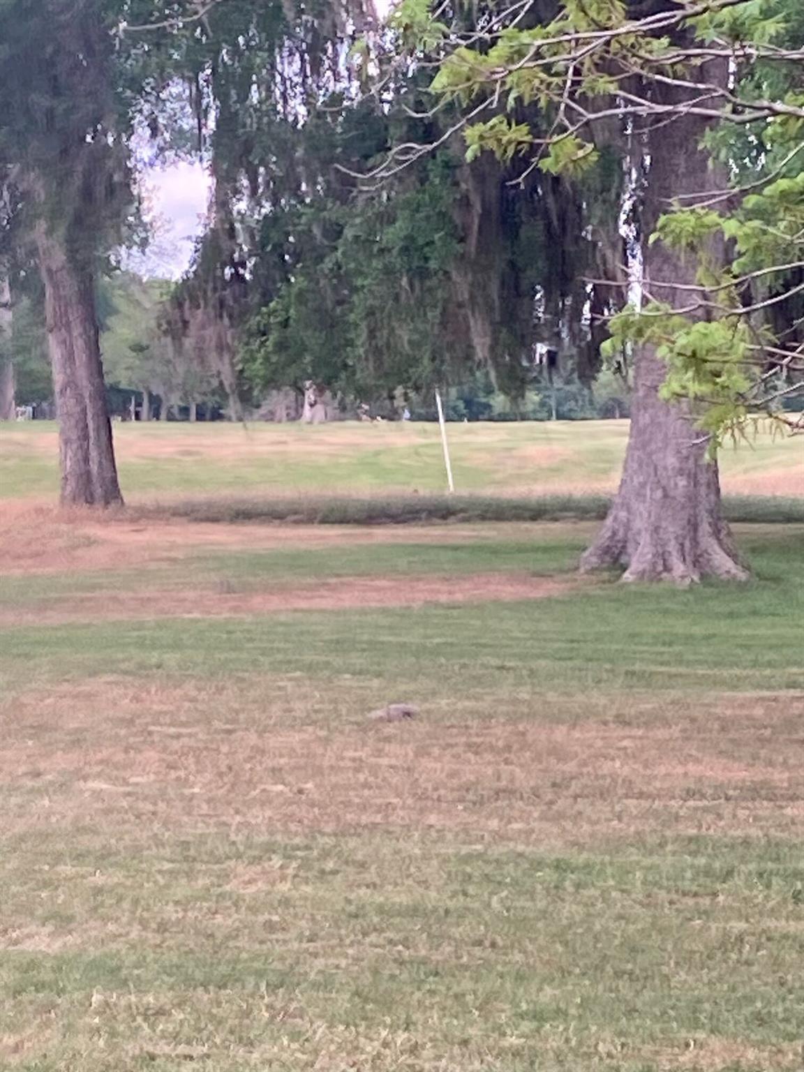 Tbd Konahuanui Lane Ln Property Photo 3