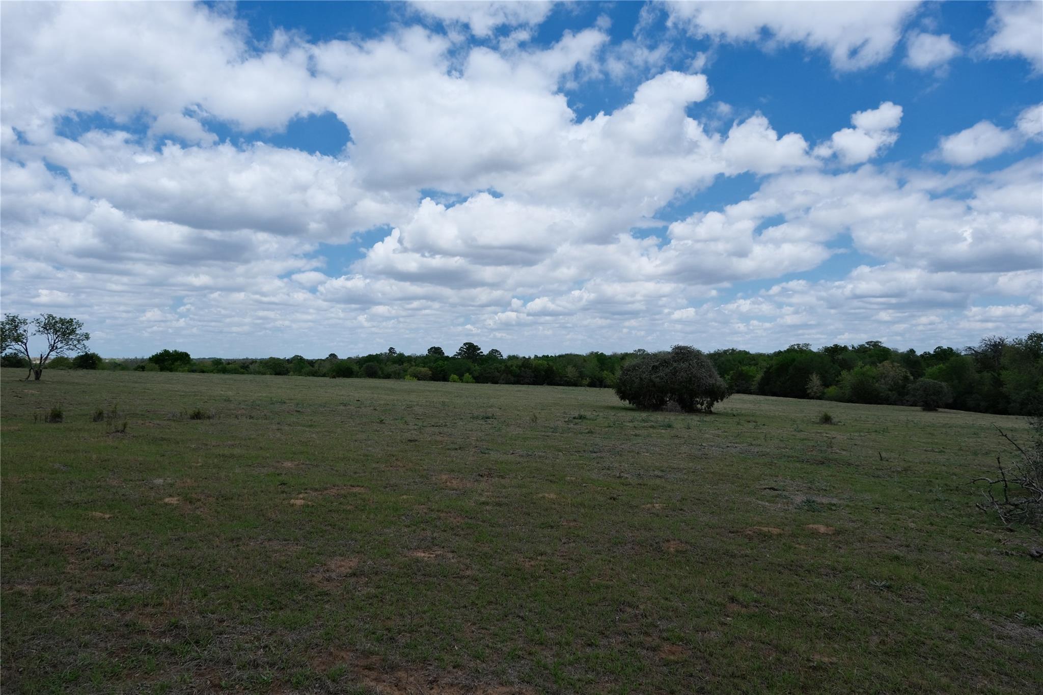 446 Herron Trl Property Photo 2