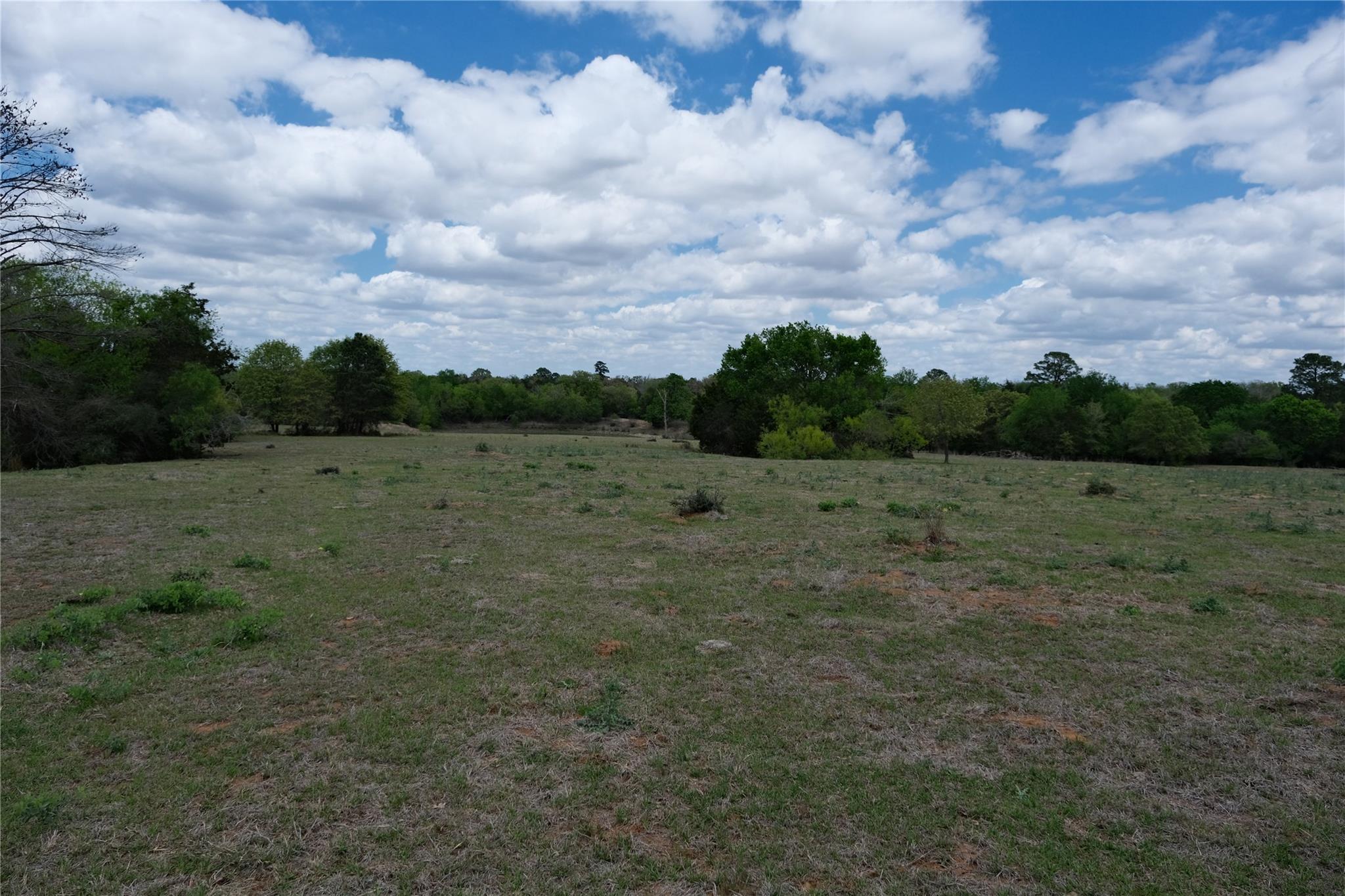 446 Herron Trl Property Photo 4