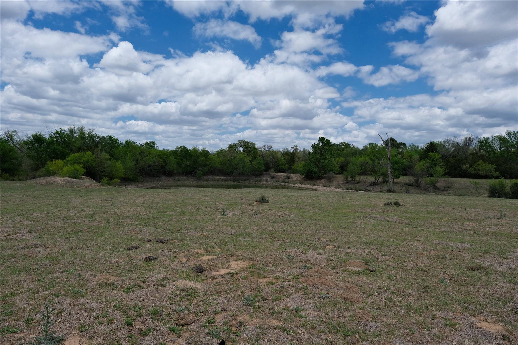 446 Herron Trl Property Photo 6