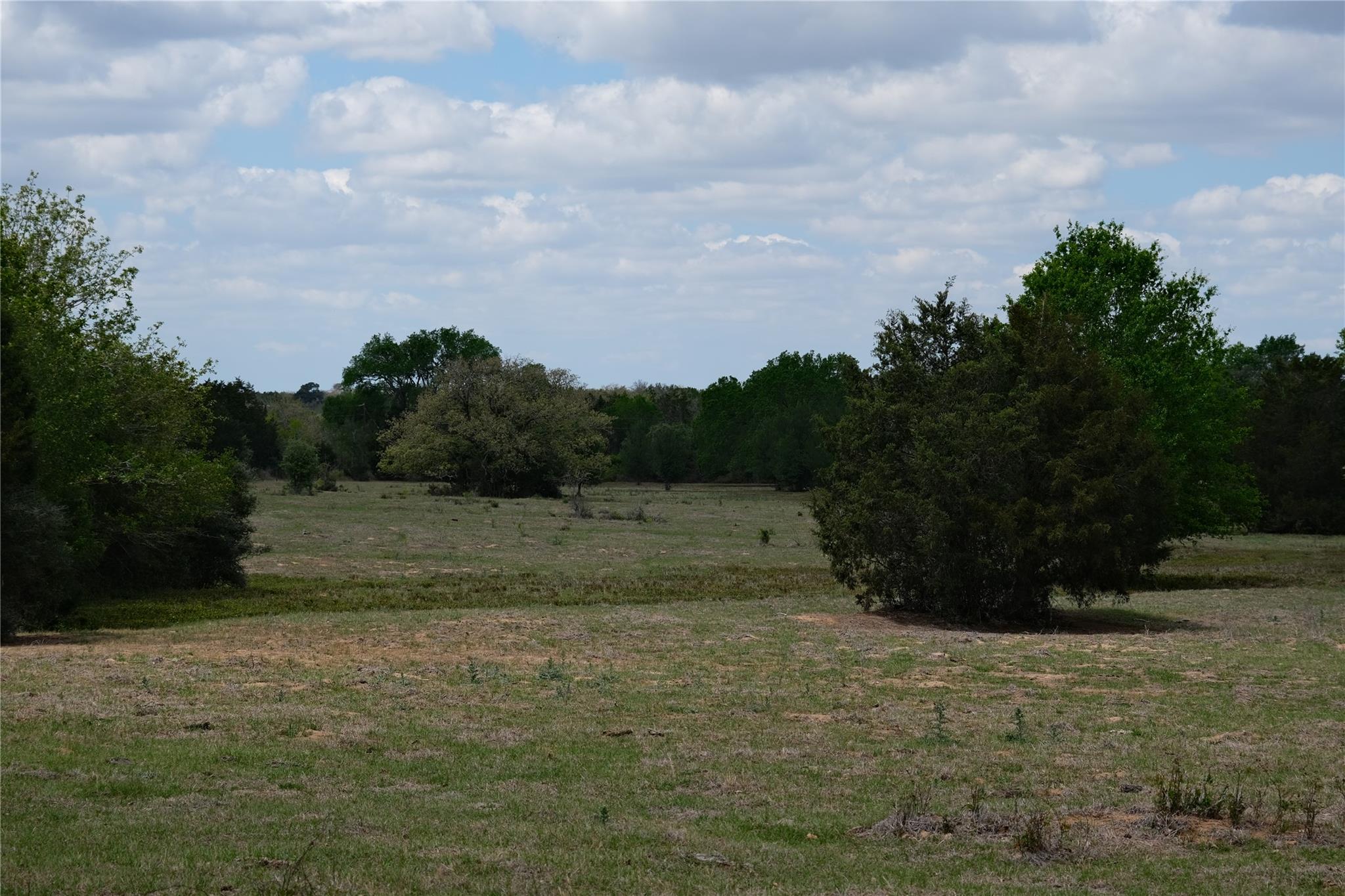 446 Herron Trl Property Photo 8