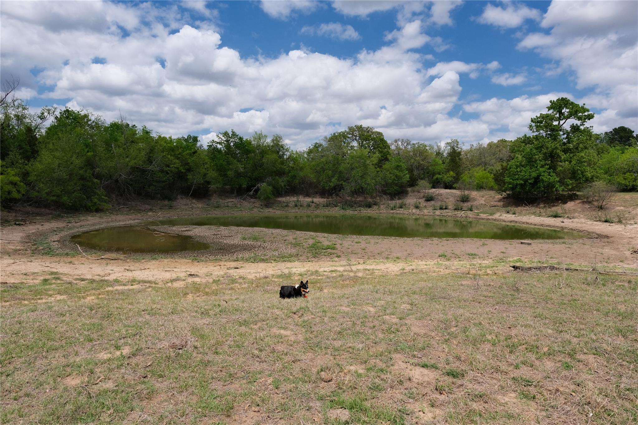446 Herron Trl Property Photo 10