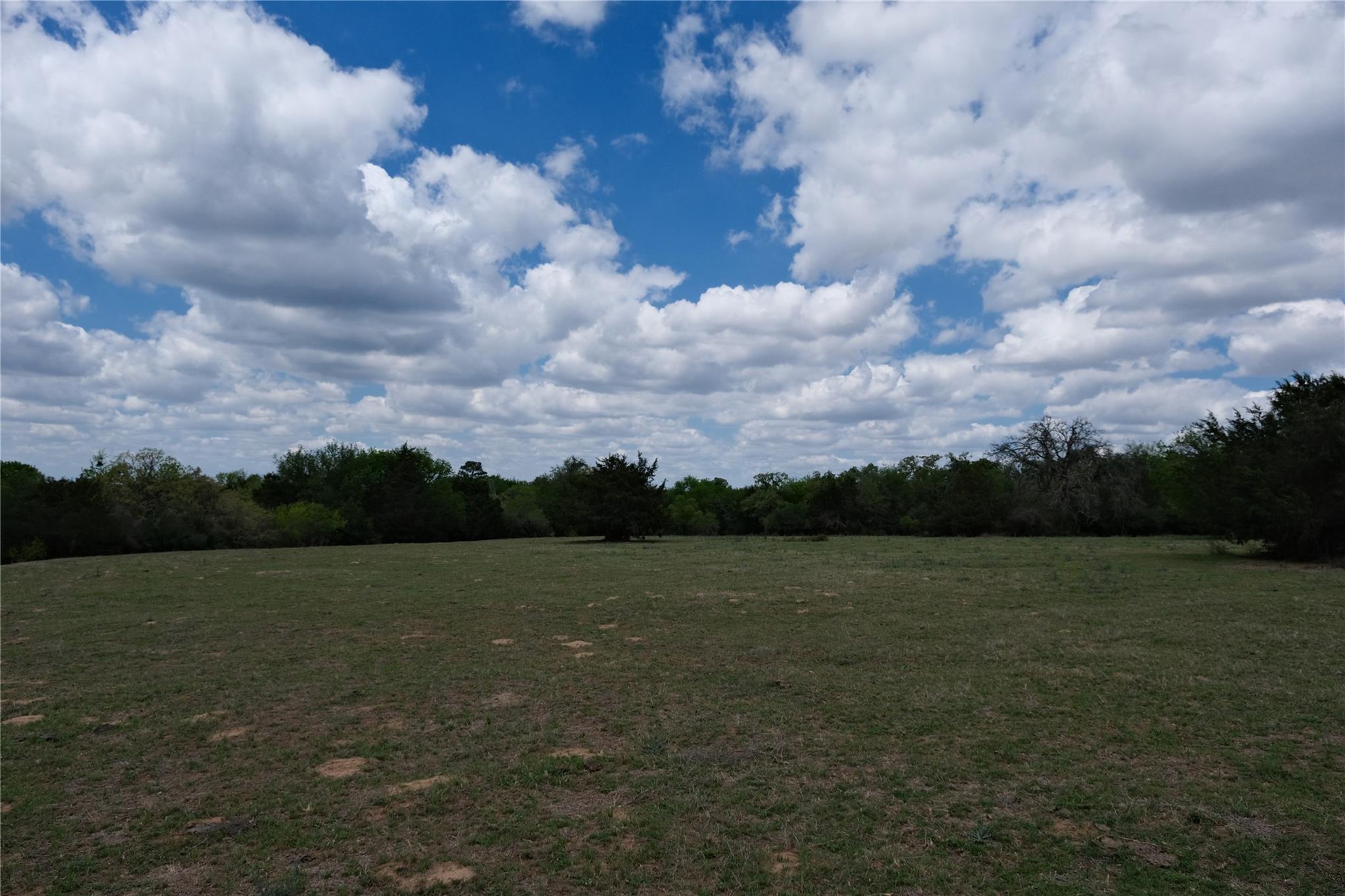 446 Herron Trl Property Photo 13