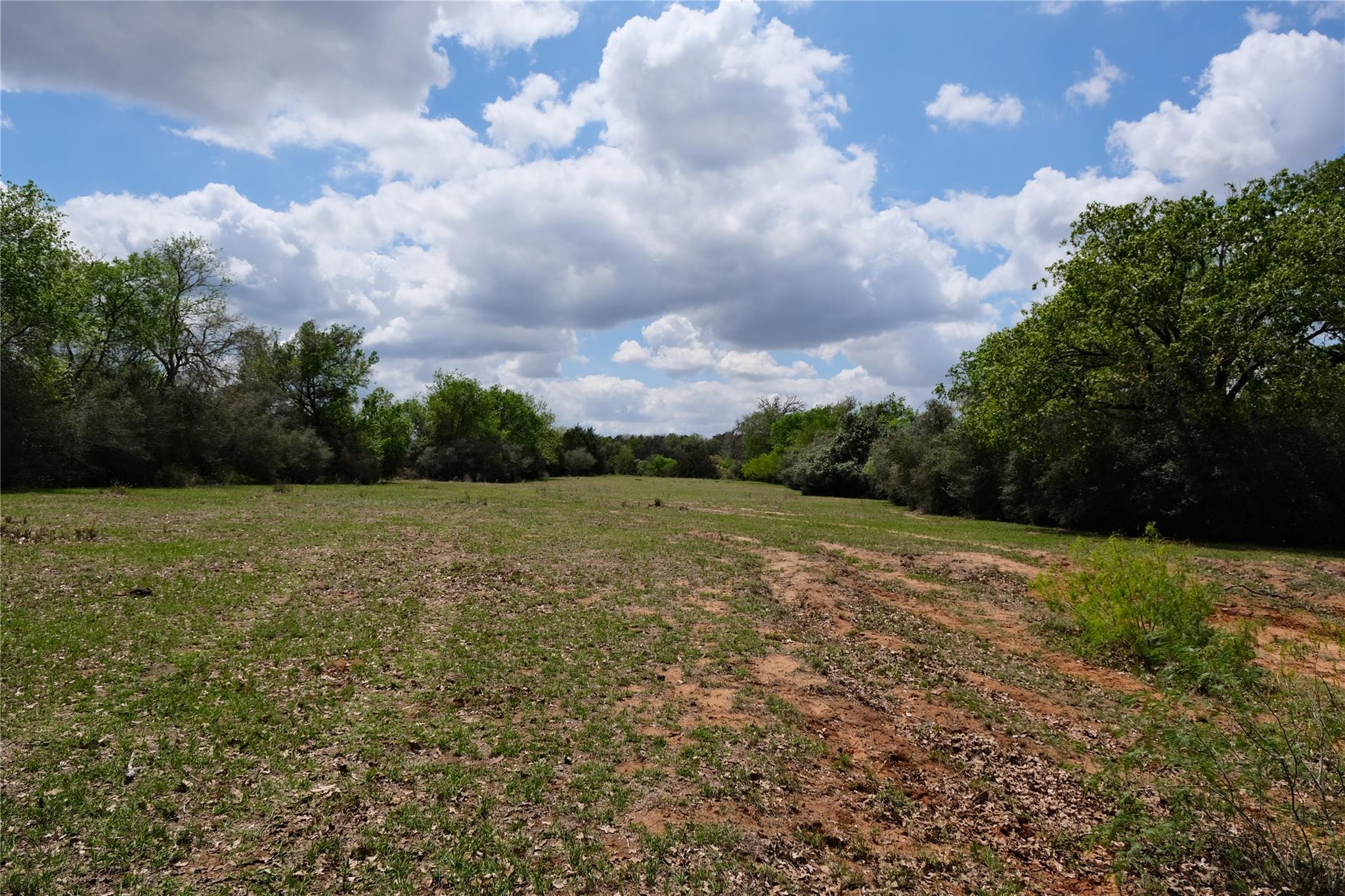 446 Herron Trl Property Photo 14