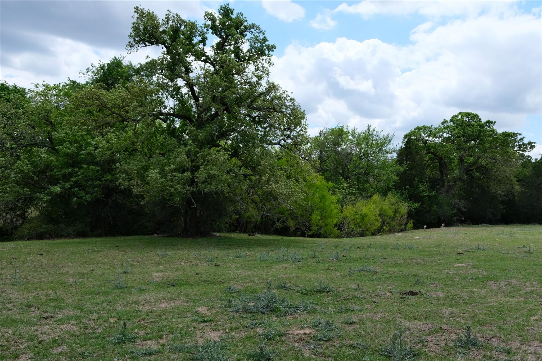 446 Herron Trl Property Photo 15