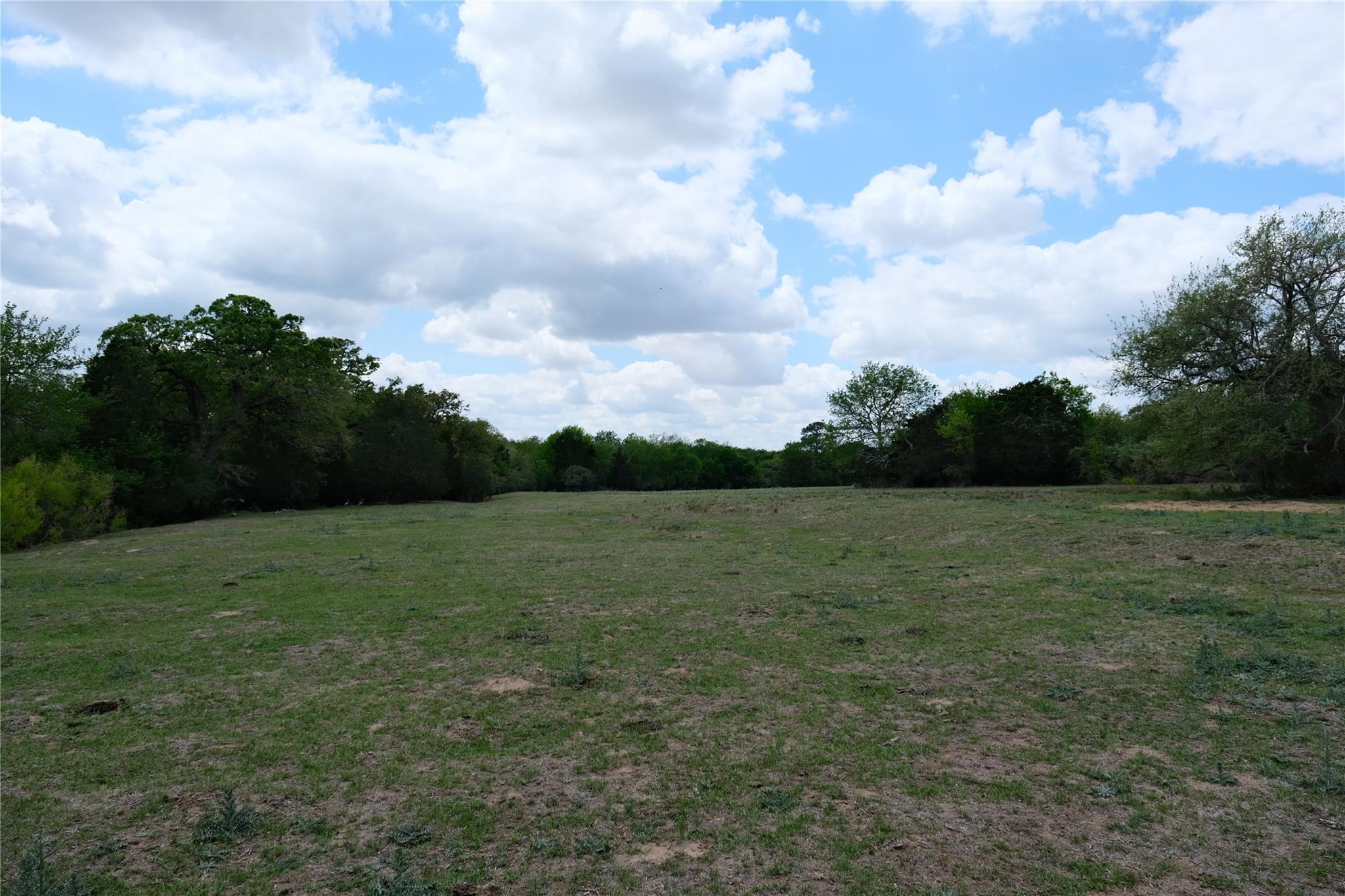 446 Herron Trl Property Photo 16