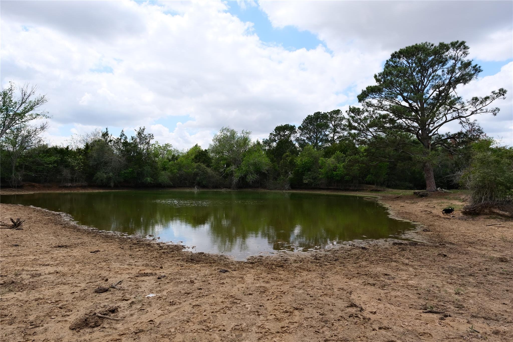 446 Herron Trl Property Photo 19