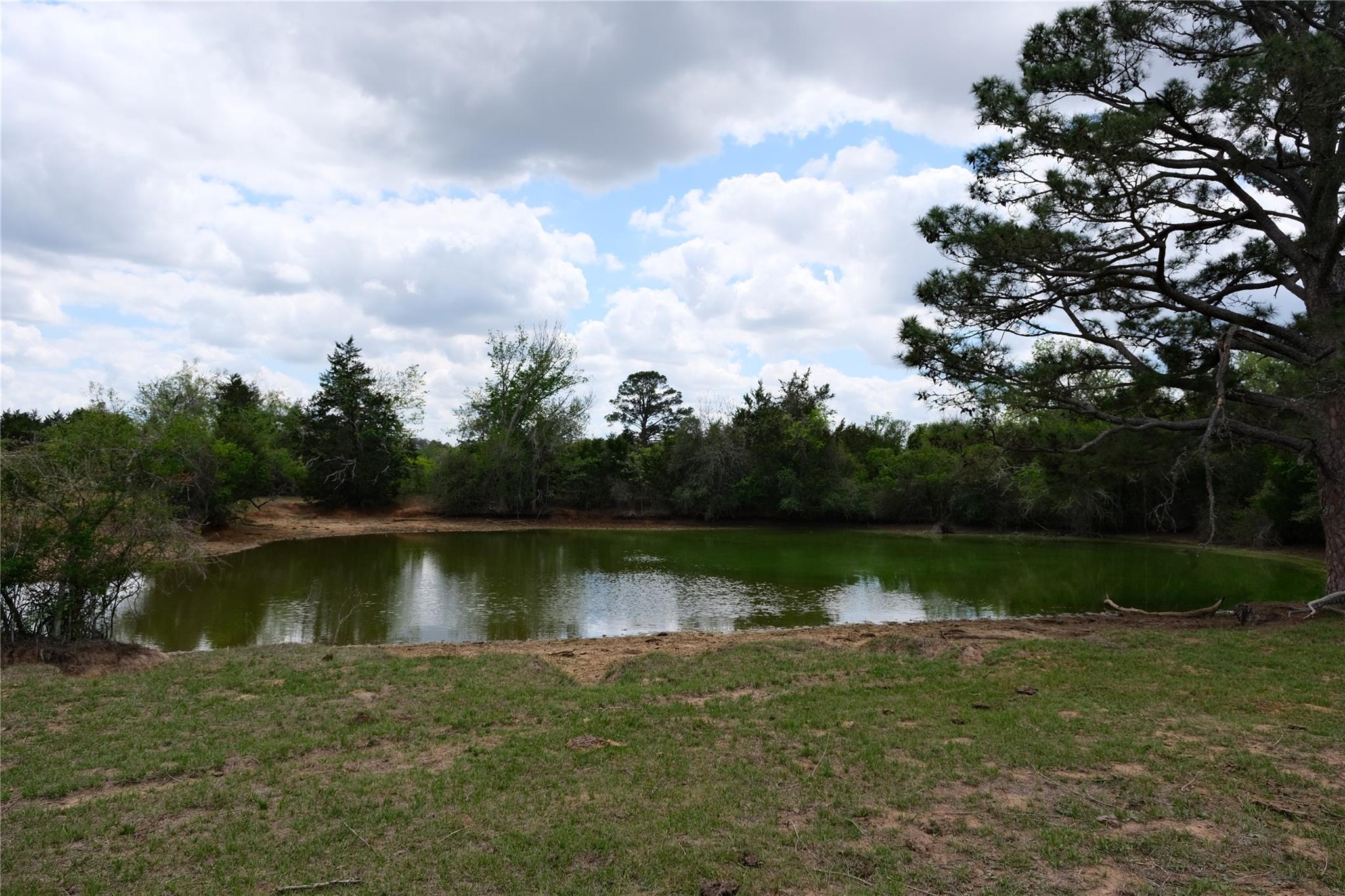 446 Herron Trl Property Photo 20