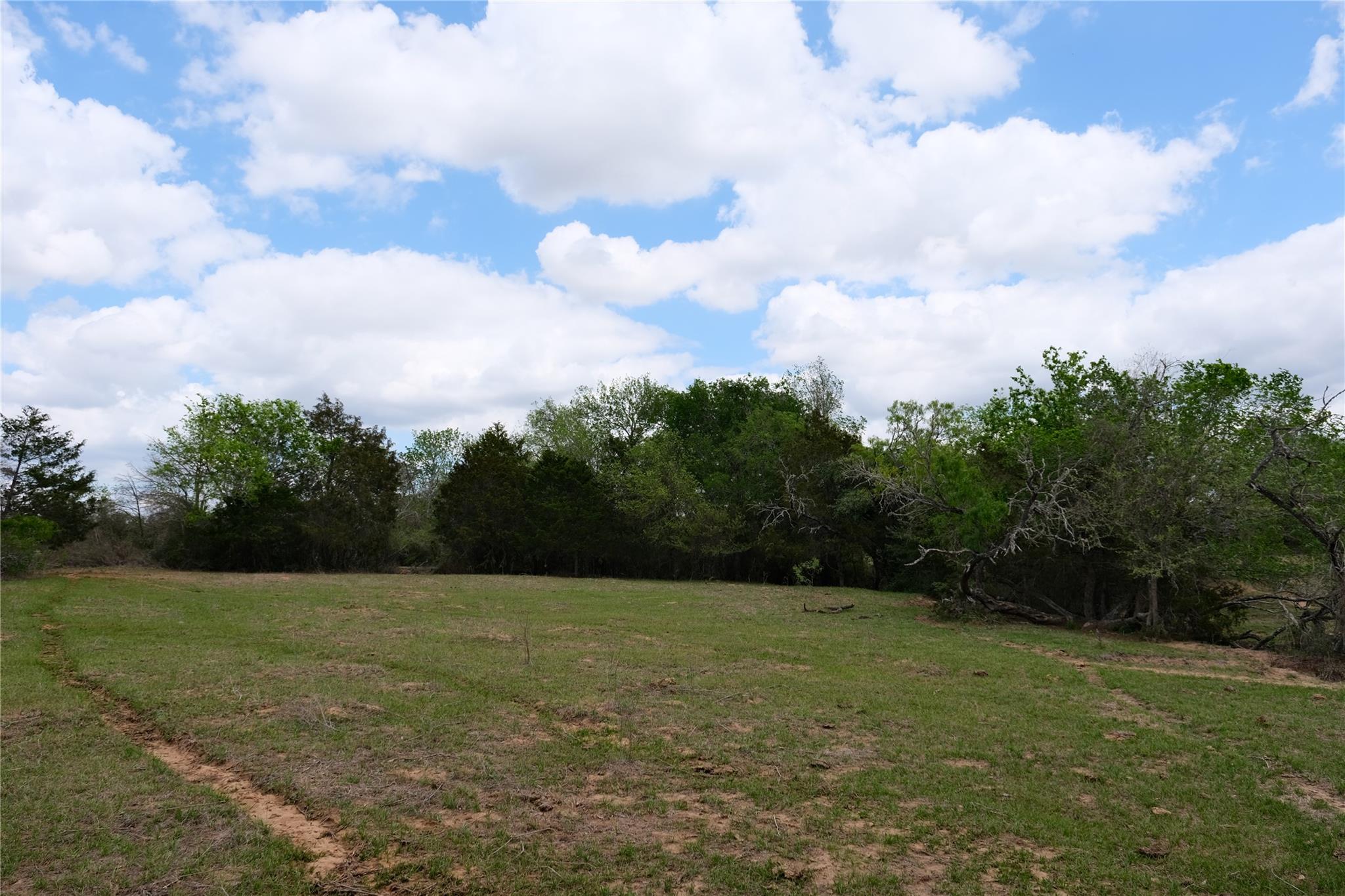 446 Herron Trl Property Photo 22