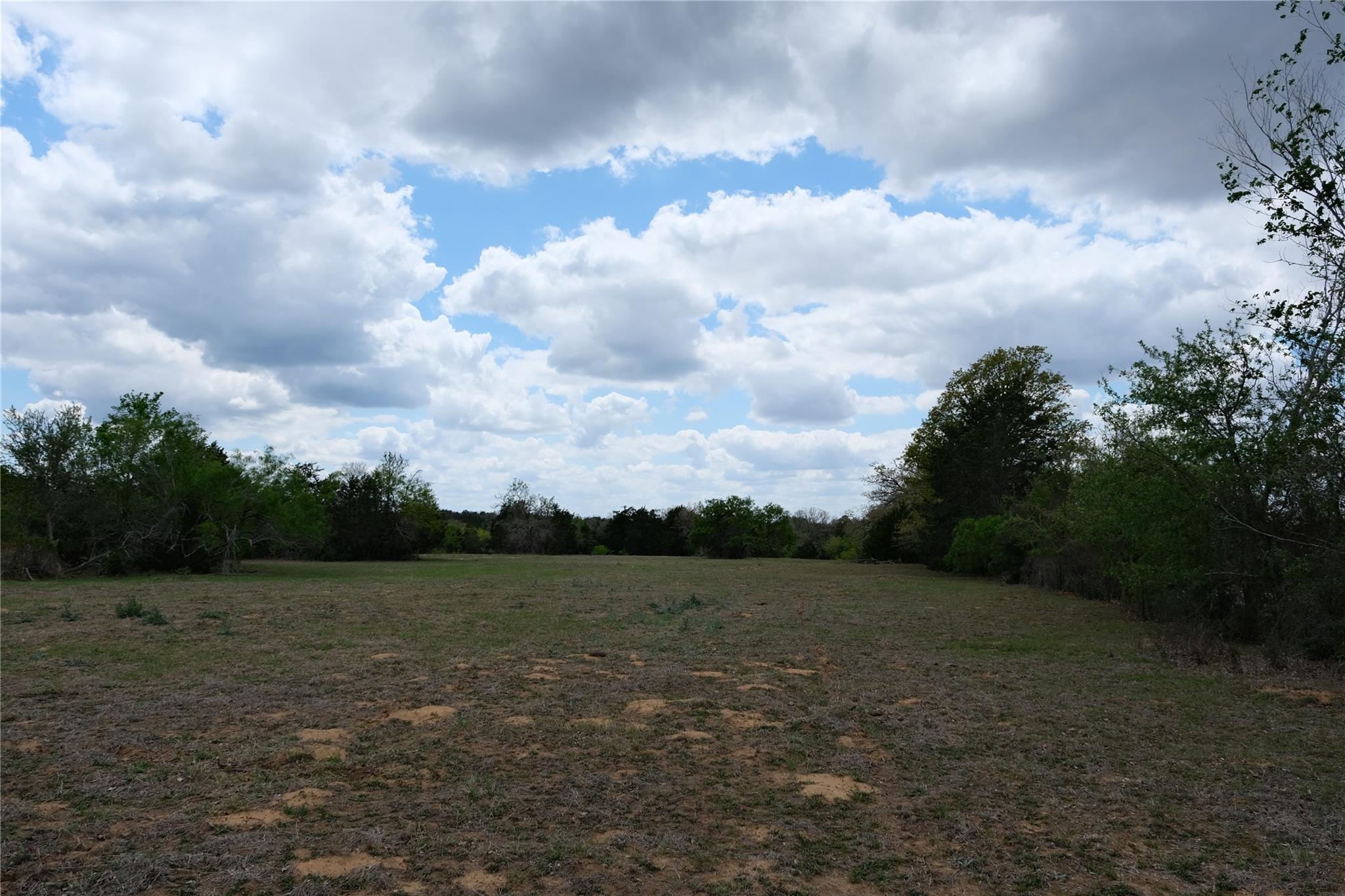 446 Herron Trl Property Photo 23