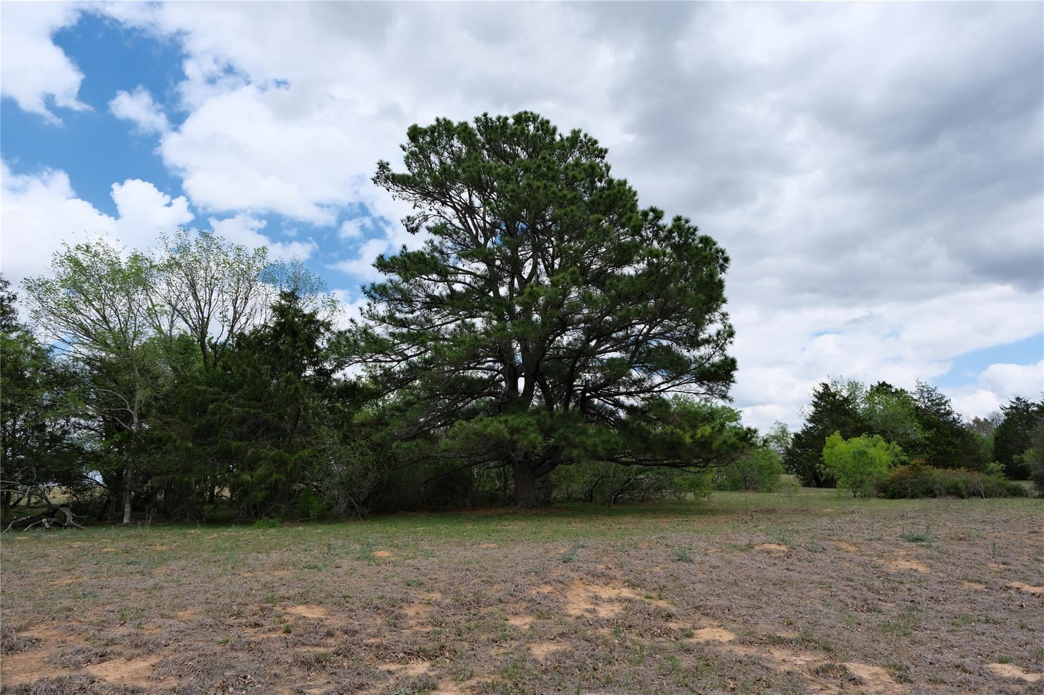 446 Herron Trl Property Photo 29