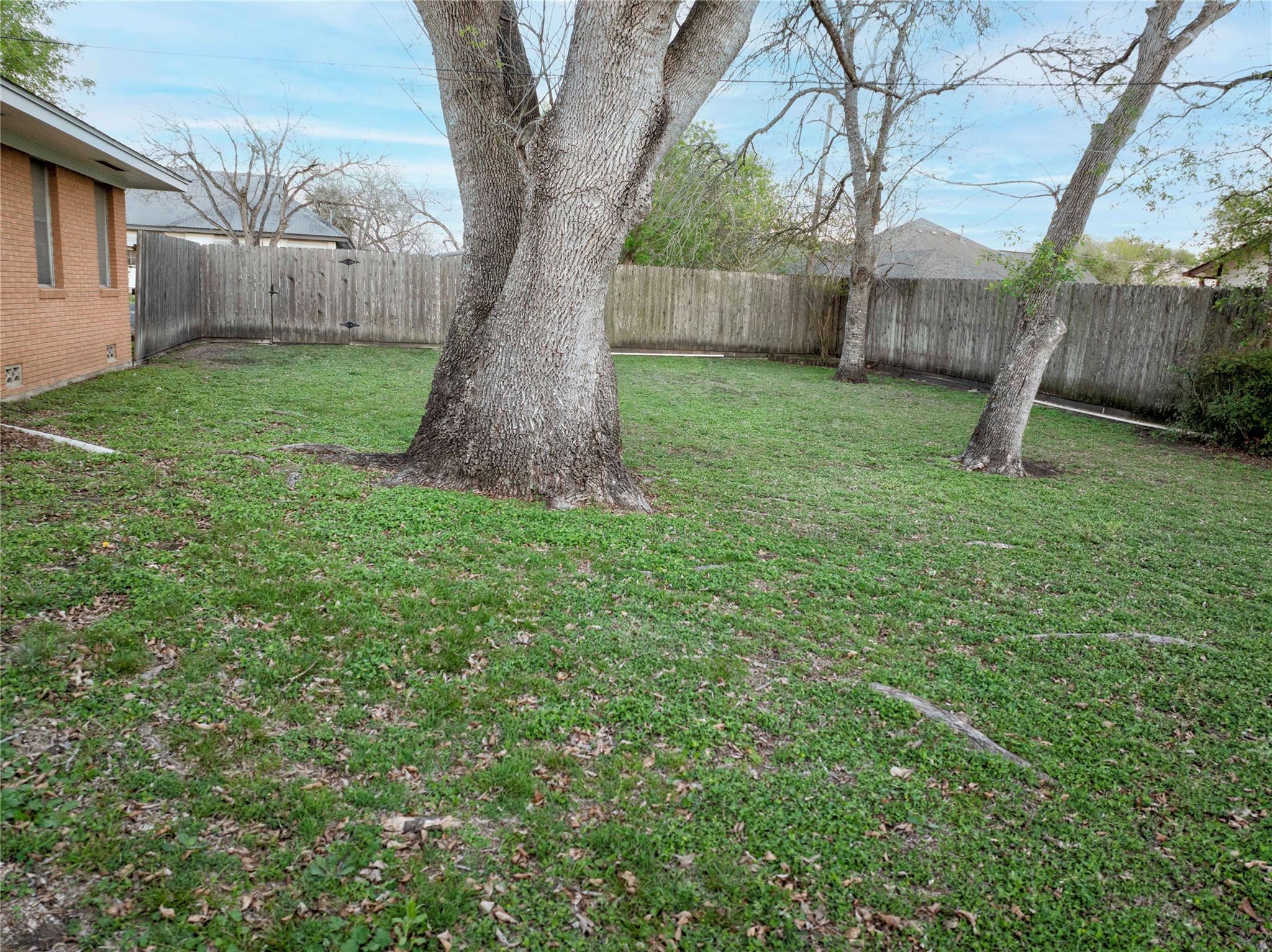 302 Baumgarten St Property Photo 22