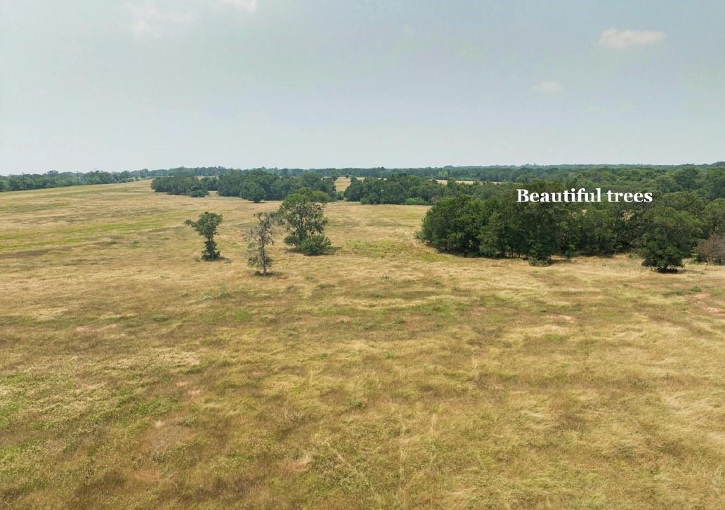 475 County Line Rd Property Photo 6