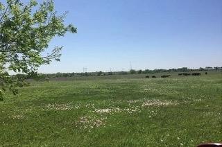 360 County Road 462 None Property Photo 13