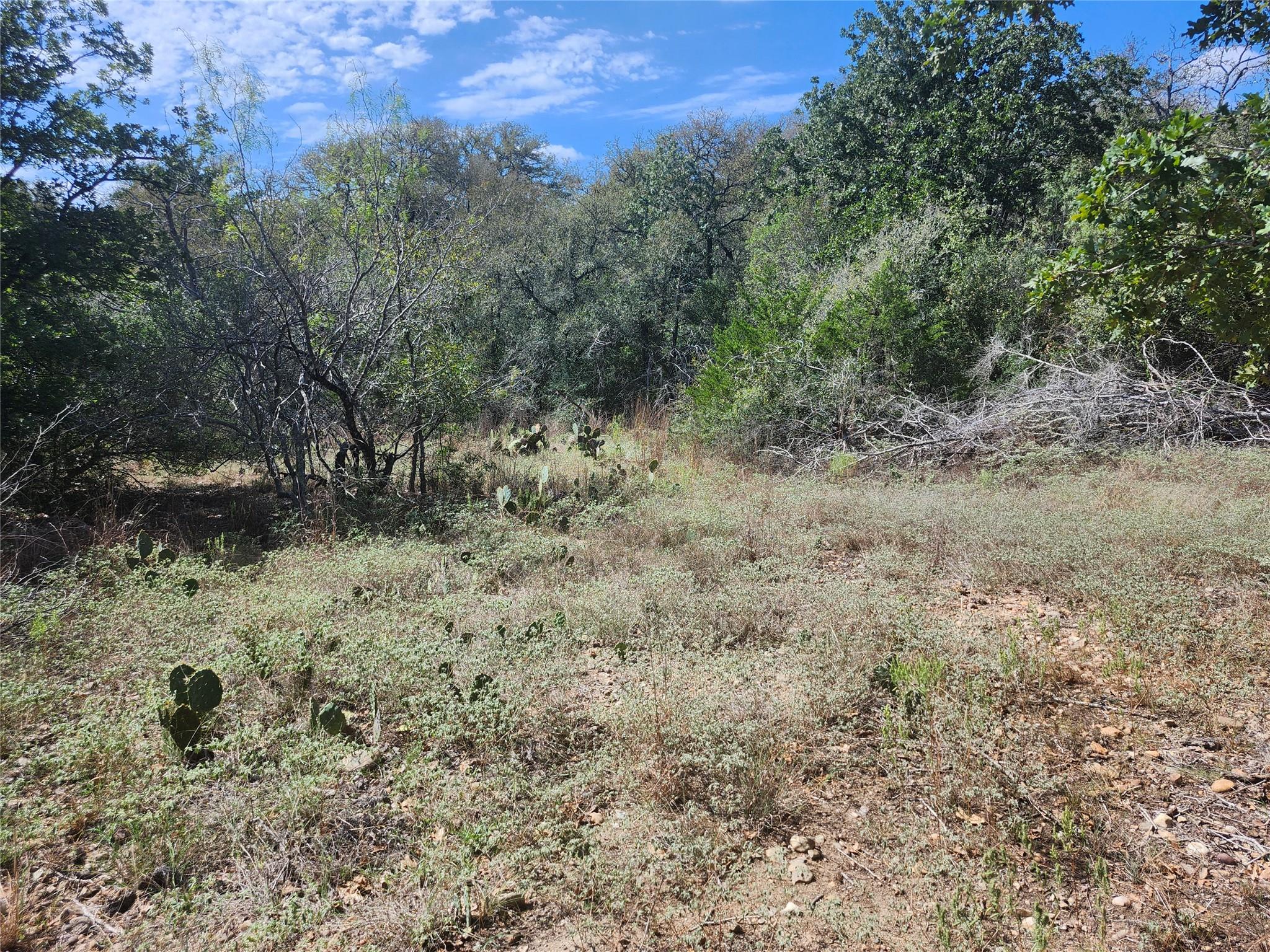 0000 Escondido Dr Property Photo 3