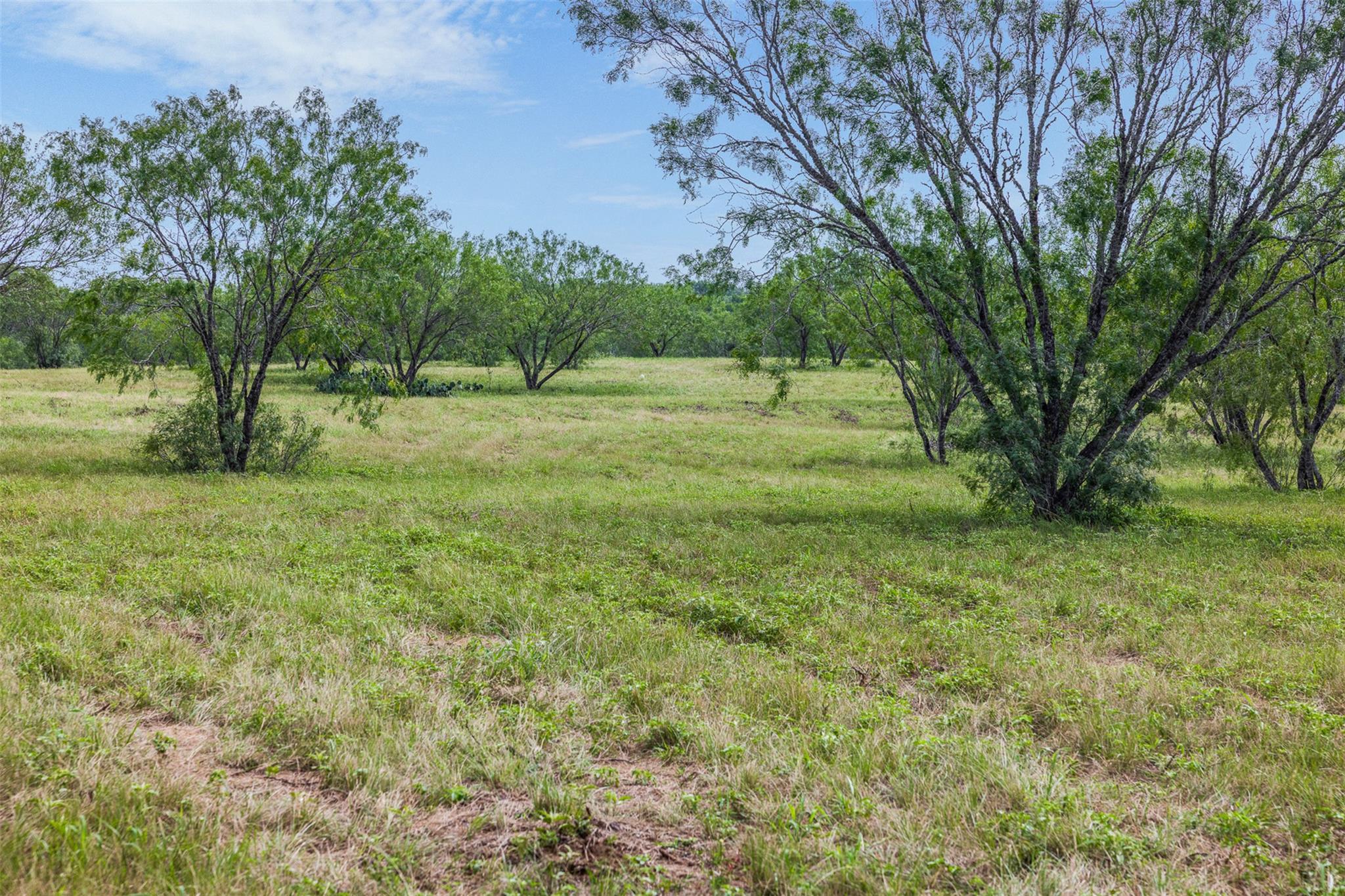 401 Fm 672 None Property Photo 7