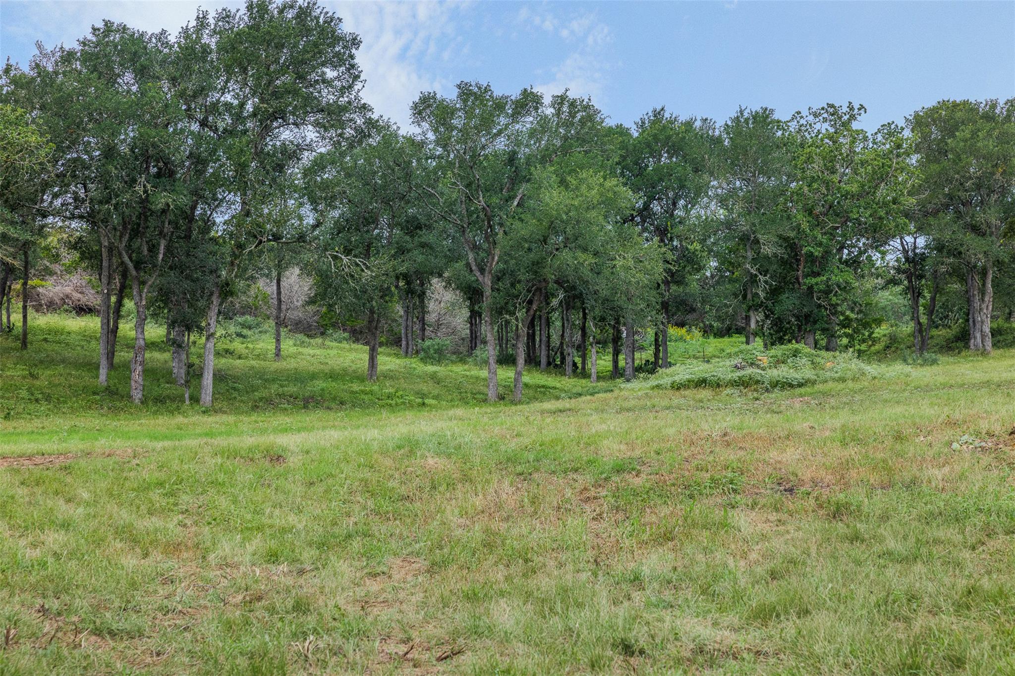 401 Fm 672 None Property Photo 11