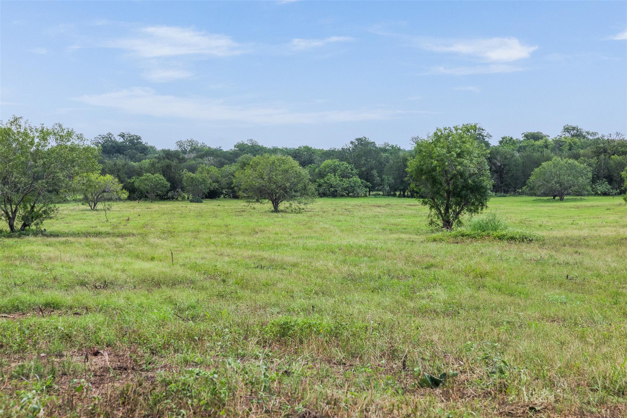 401 Fm 672 None Property Photo 14