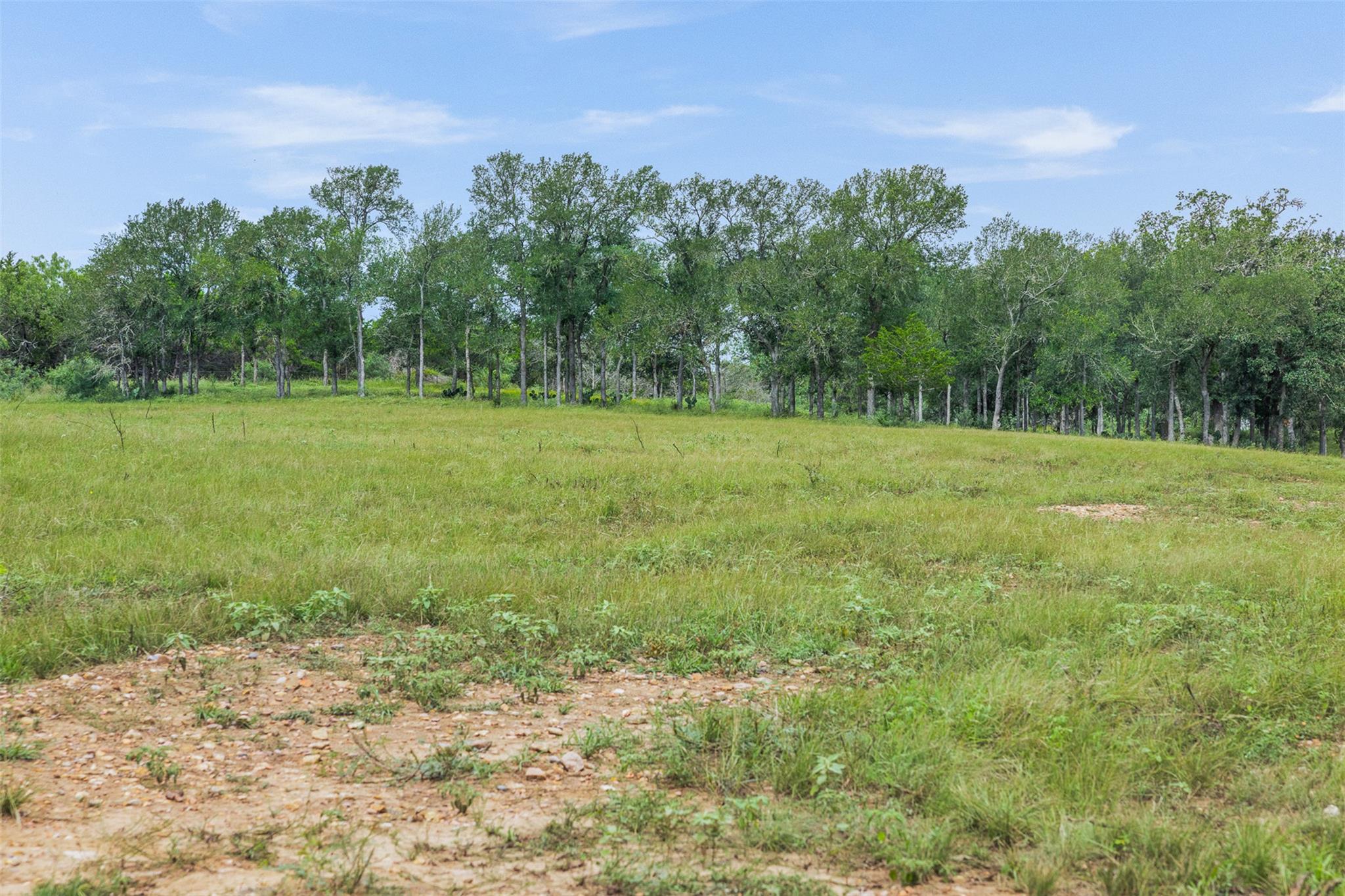 401 Fm 672 None Property Photo 15