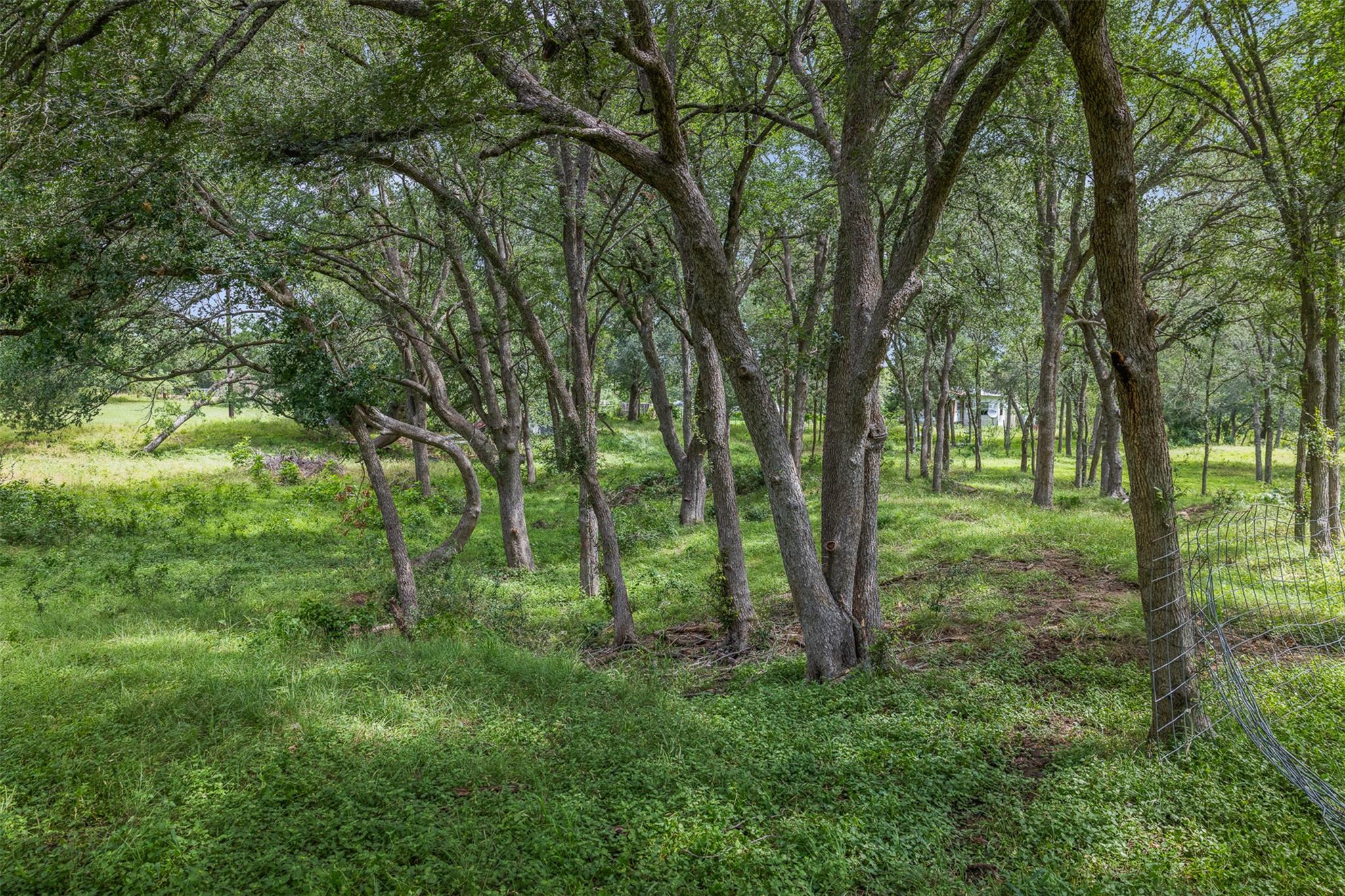401 Fm 672 None Property Photo 19