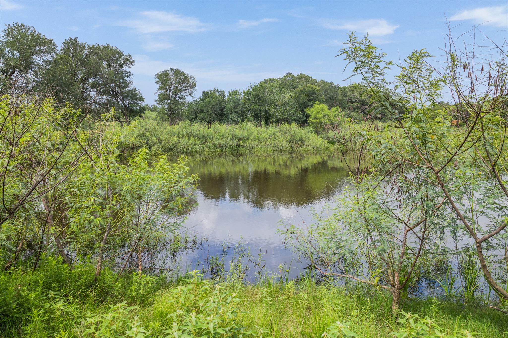 401 Fm 672 None Property Photo 22