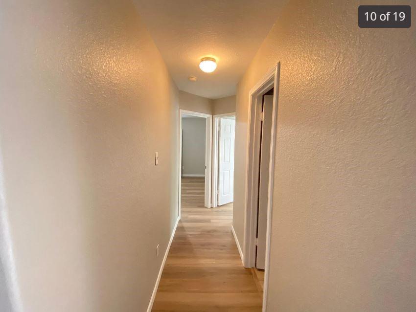 1413 Haley Gray Dr Property Photo 12
