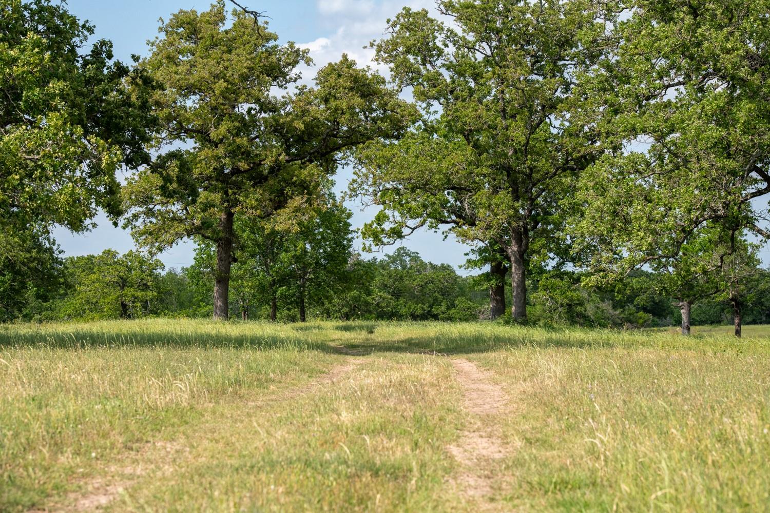 7440244 Property Photo 15