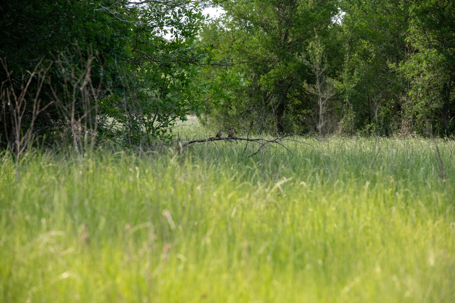 7440244 Property Photo 16
