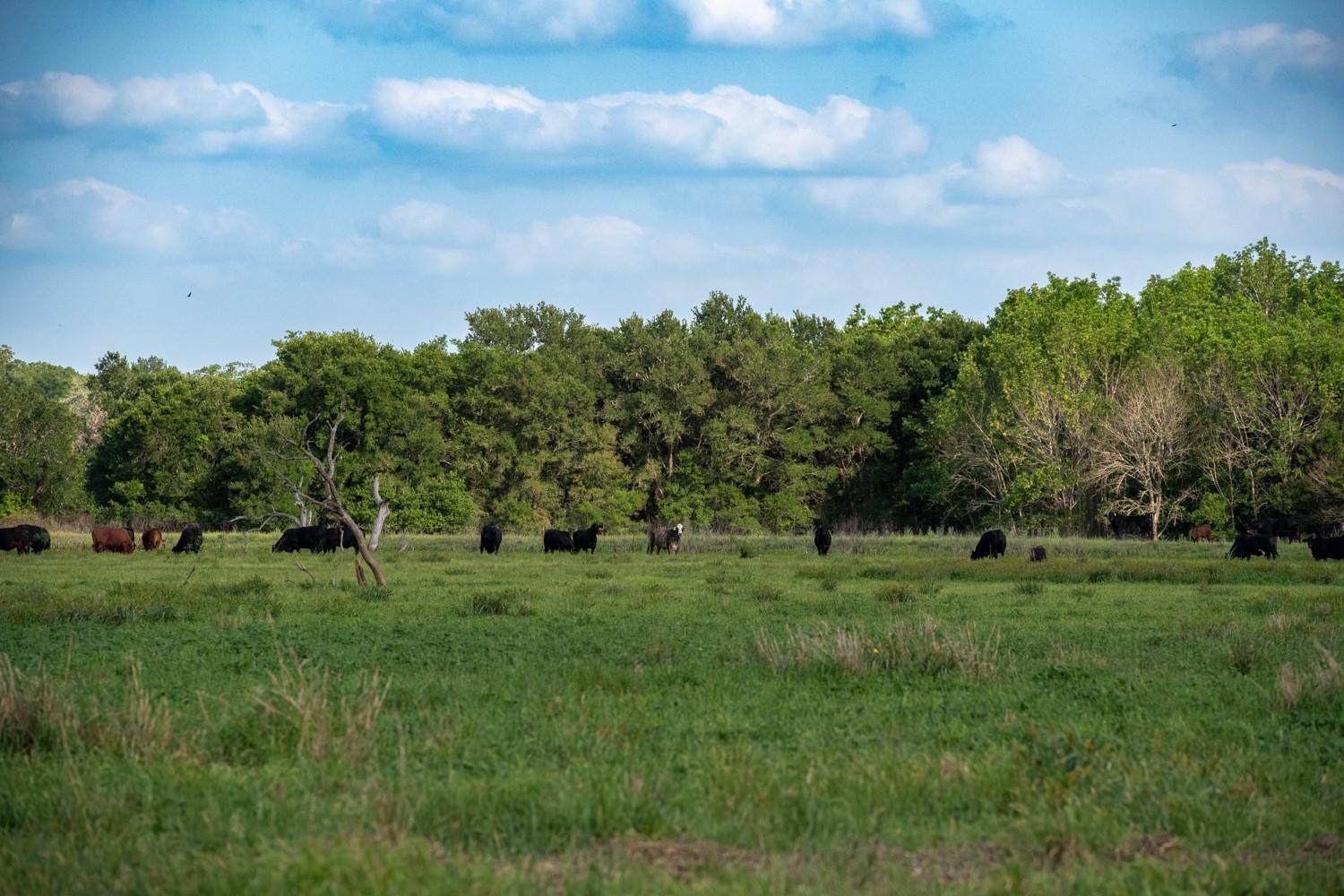 7440244 Property Photo 17