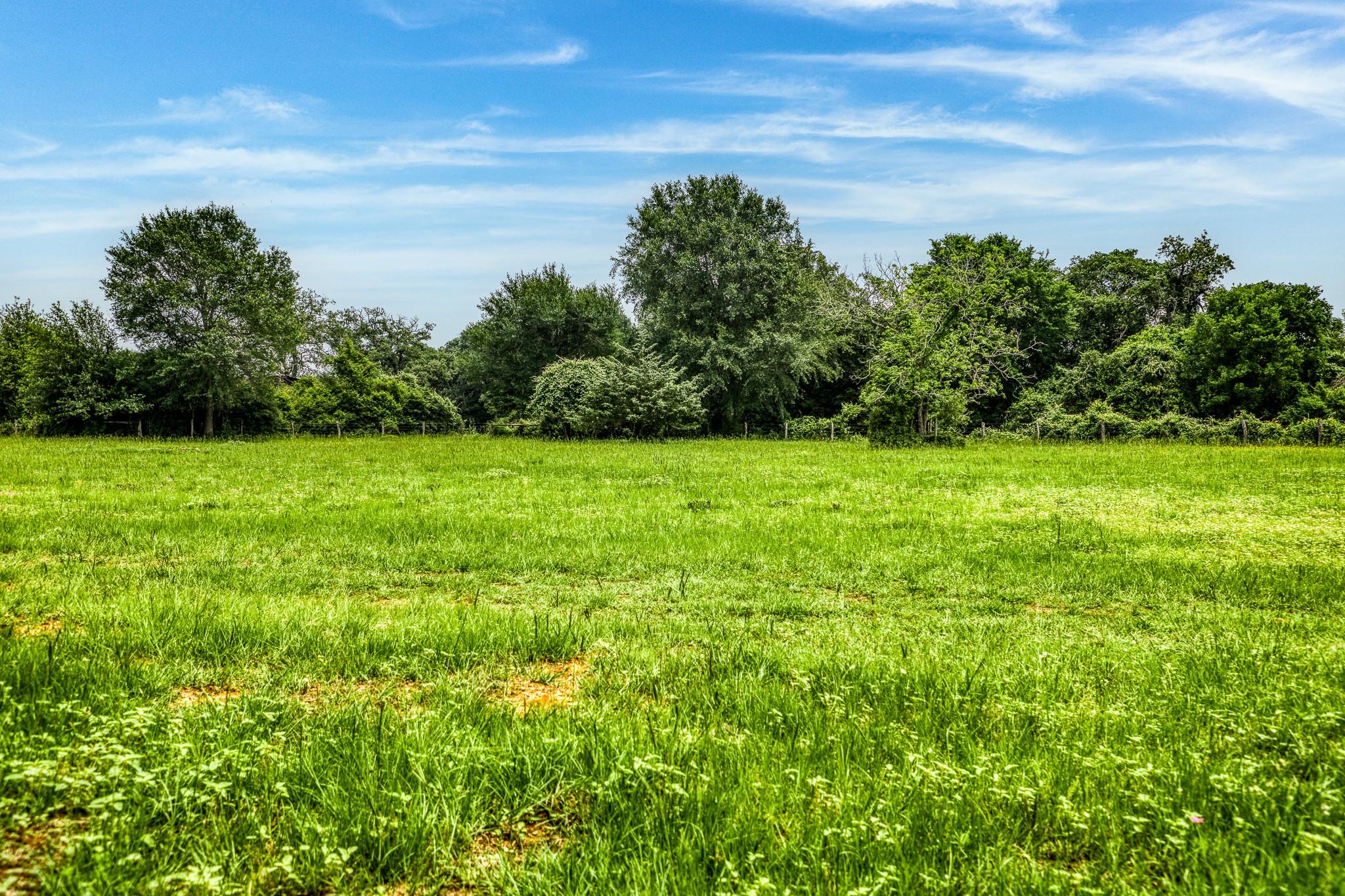 10610 County Road 322 None Property Photo 14