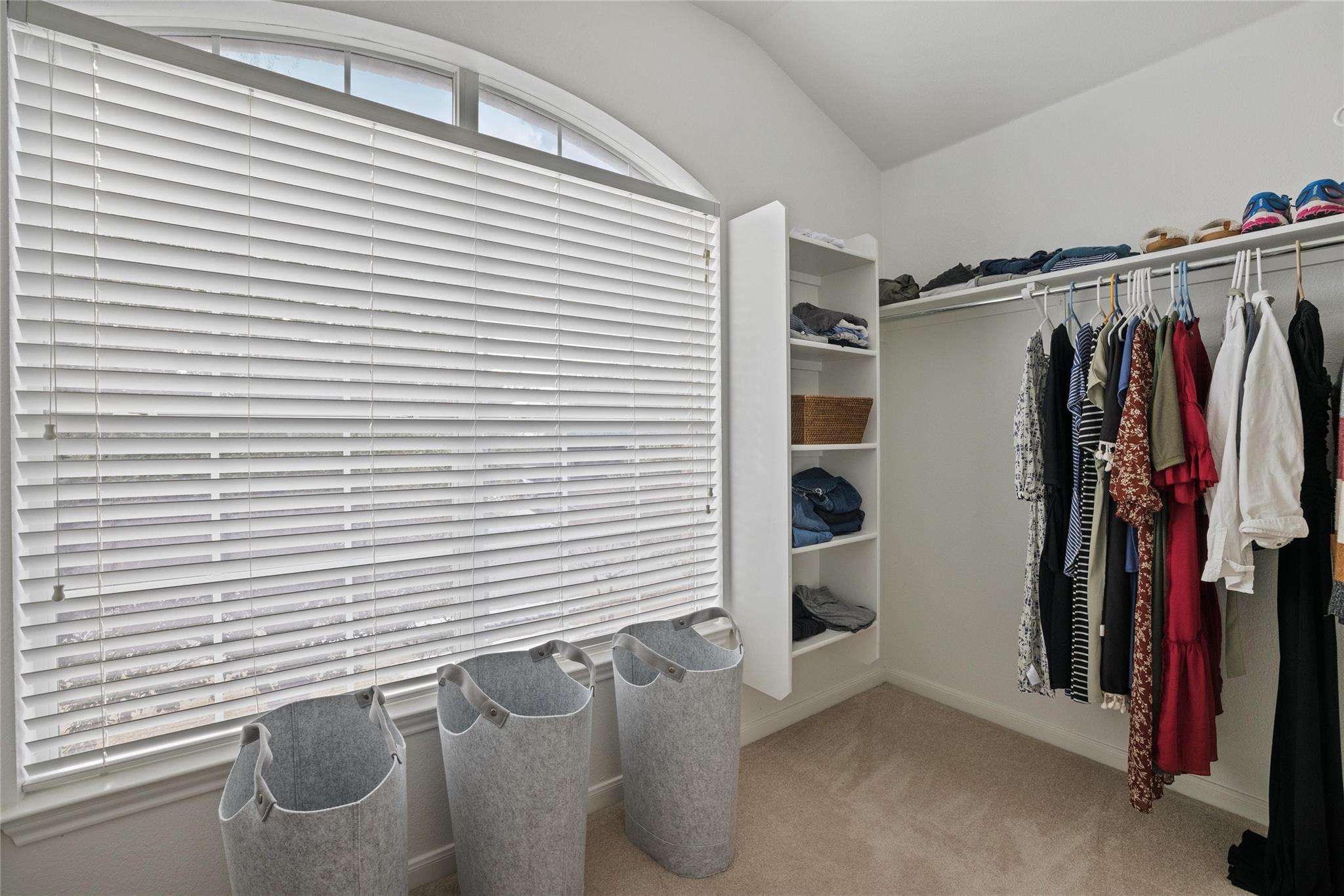 3441 Shiraz Loop Property Photo 24