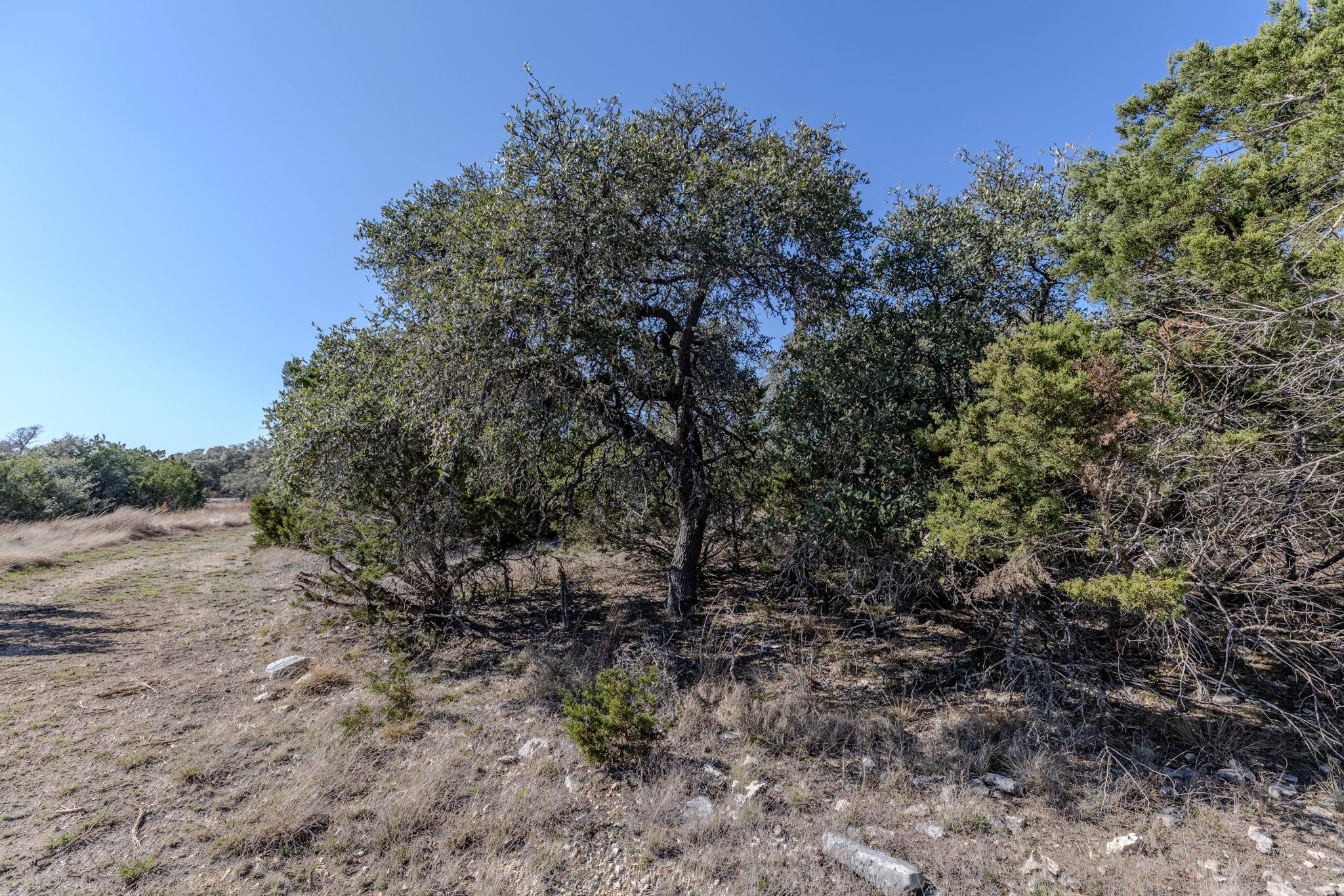 Tbd Lot 5 Sanctuary Ln Property Photo 8