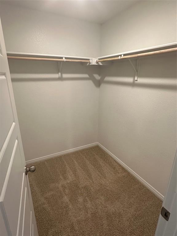 563 Evergreen Sumac Loop Property Photo 13