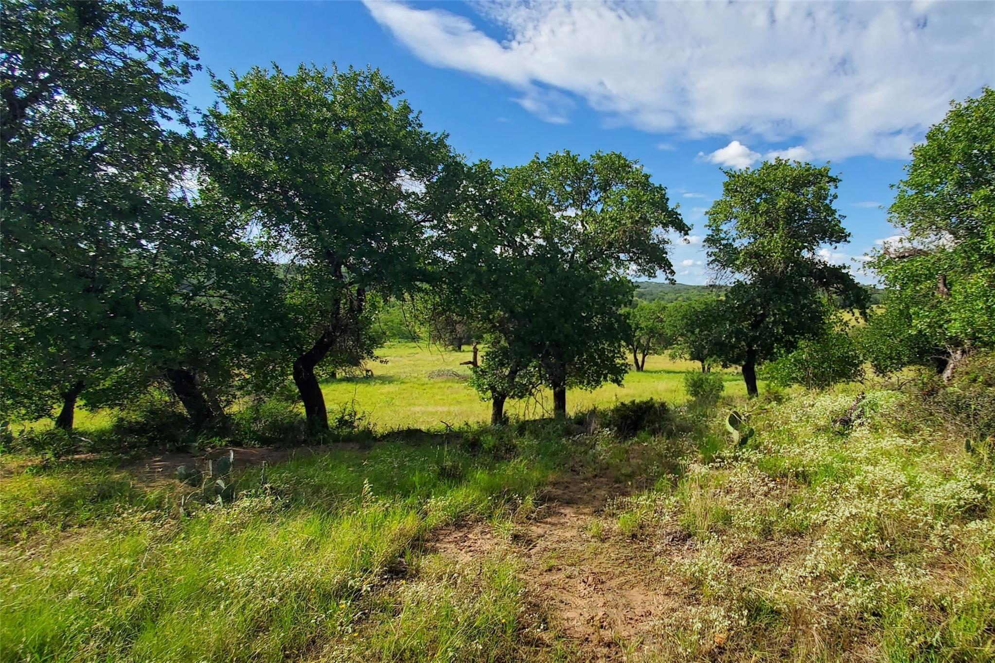 Tbd 411b None Property Photo 2