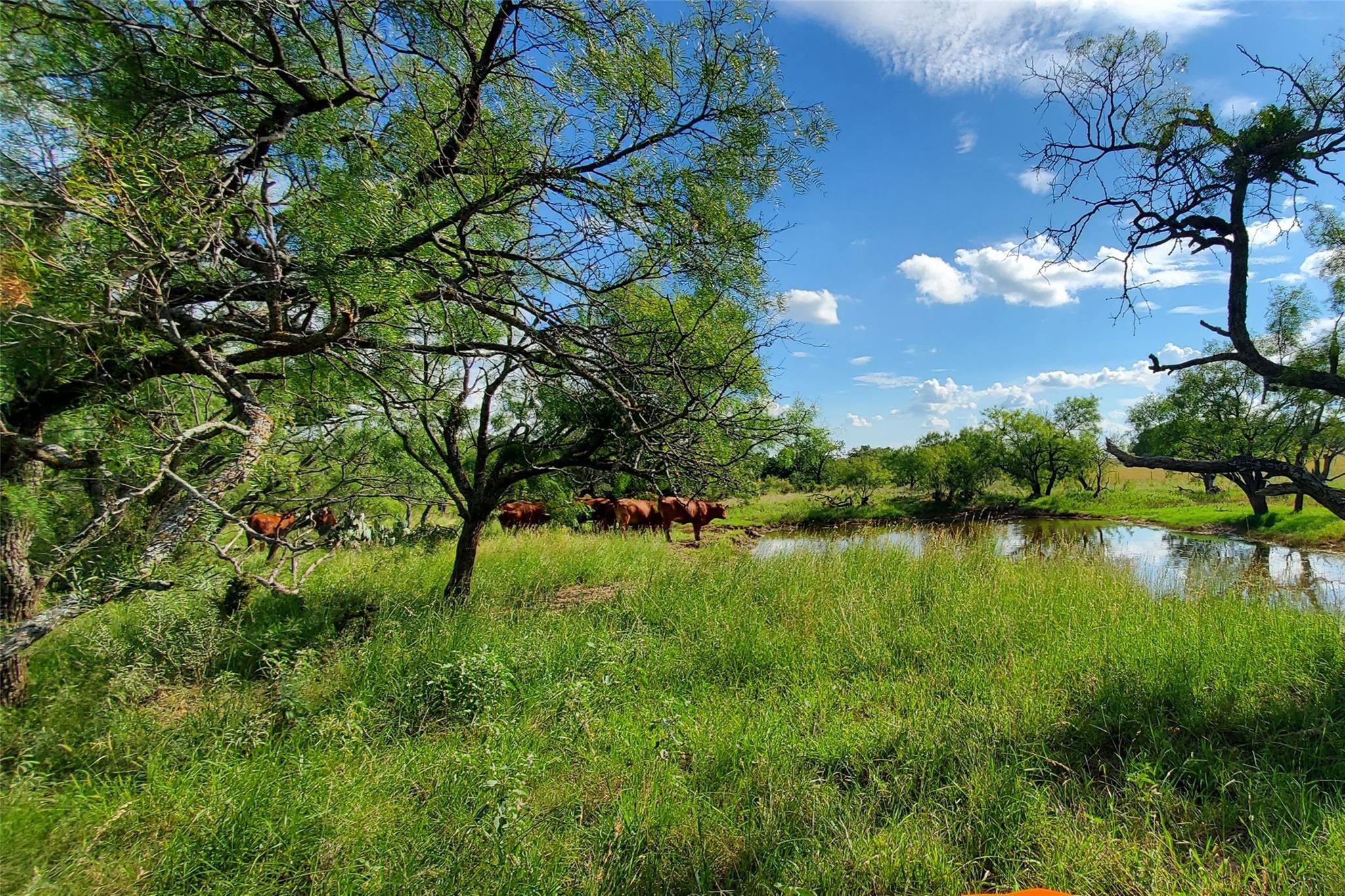 Tbd 411b None Property Photo 10