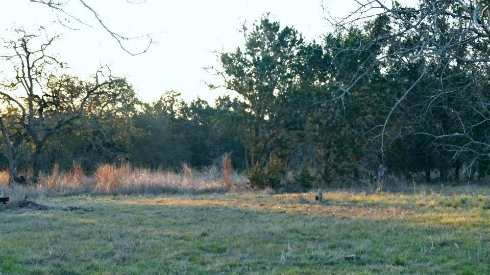 1141 Settlers Rd Property Photo 3