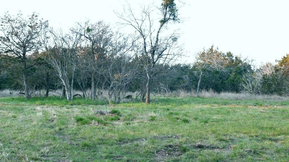 1141 Settlers Rd Property Photo 4