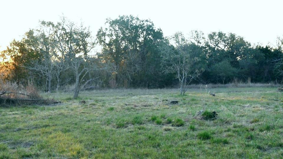 1141 Settlers Rd Property Photo 5