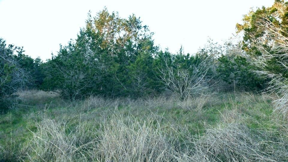 1141 Settlers Rd Property Photo 6