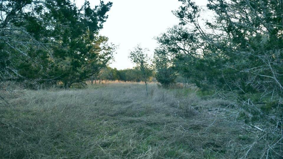 1141 Settlers Rd Property Photo 9