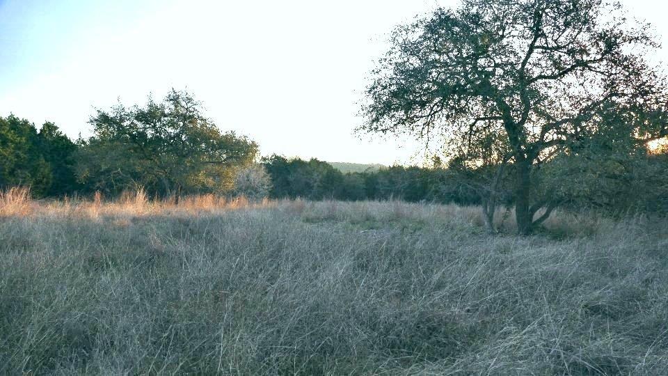 1141 Settlers Rd Property Photo 11