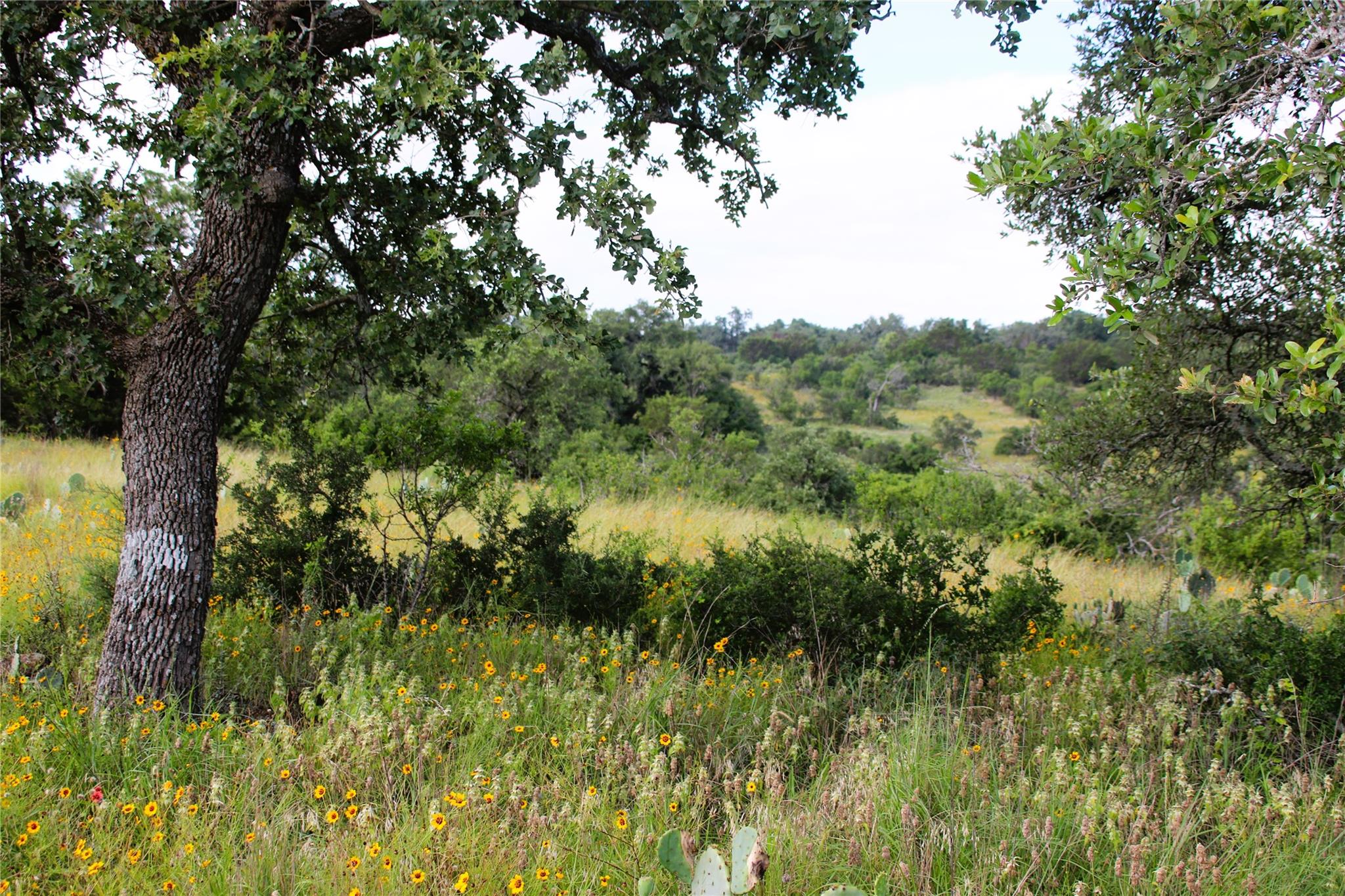 Lot 5 Comanche Rdg Property Photo