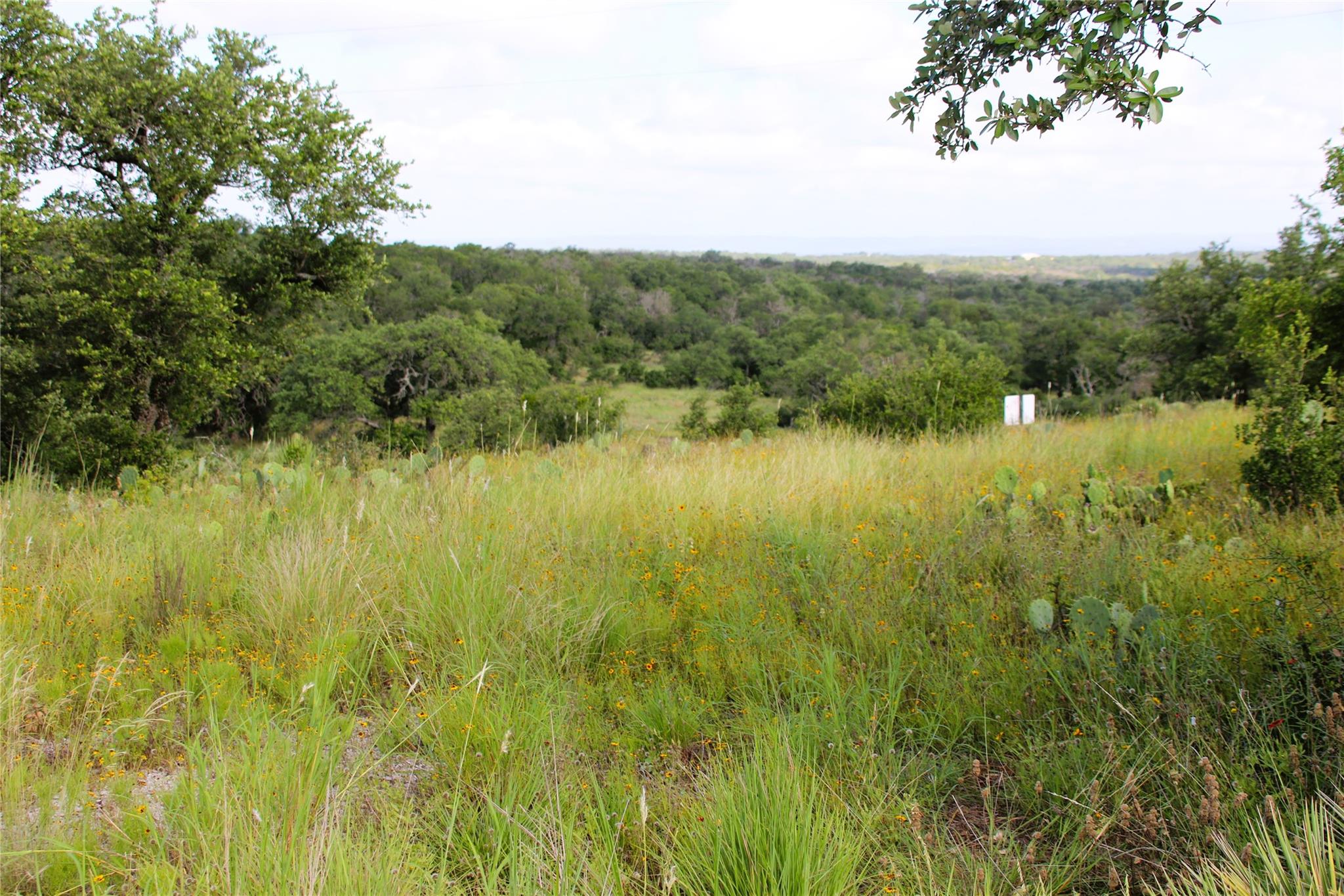 Lot 5 Comanche Rdg Property Photo 4