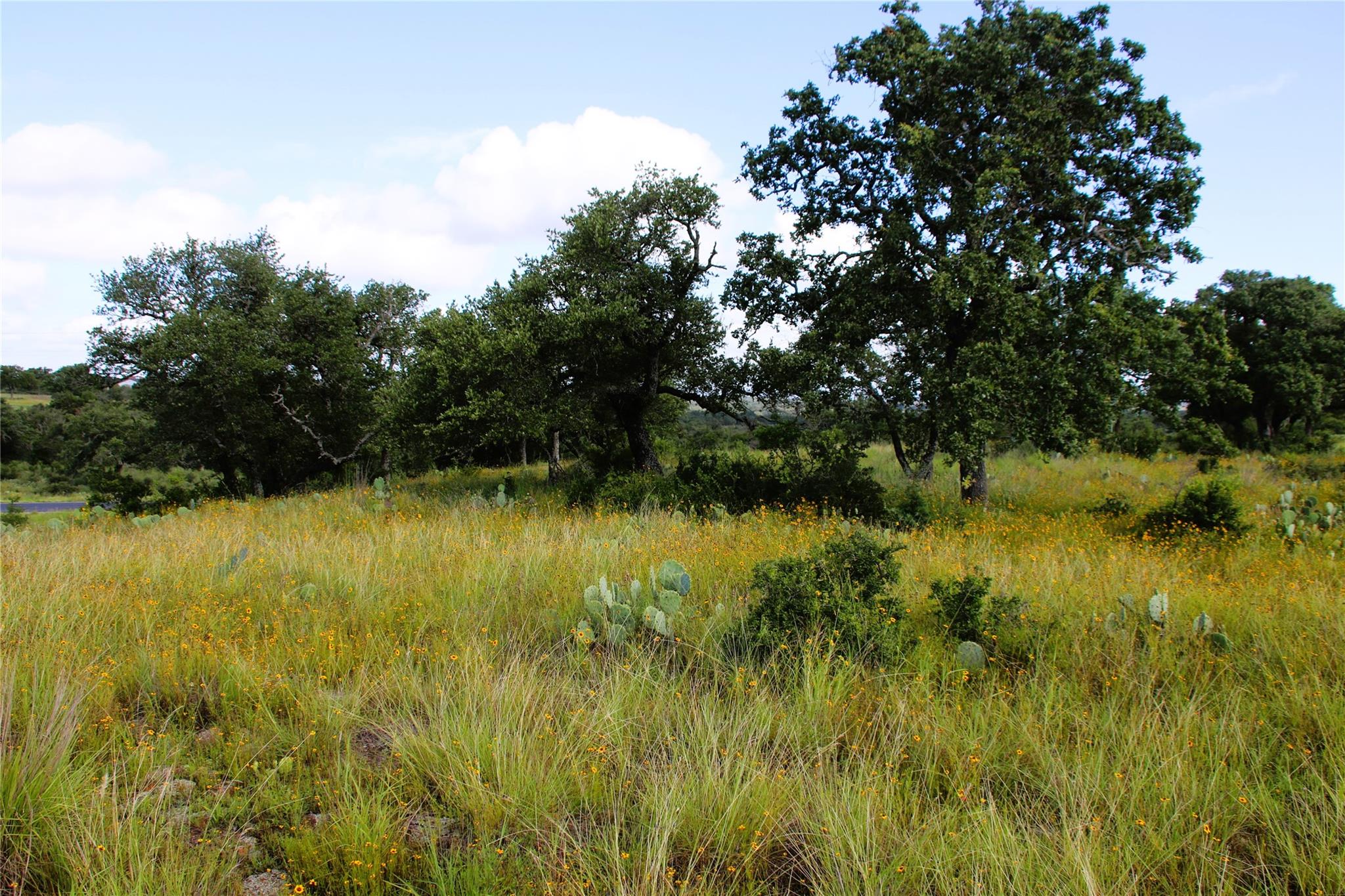 Lot 5 Comanche Rdg Property Photo 5