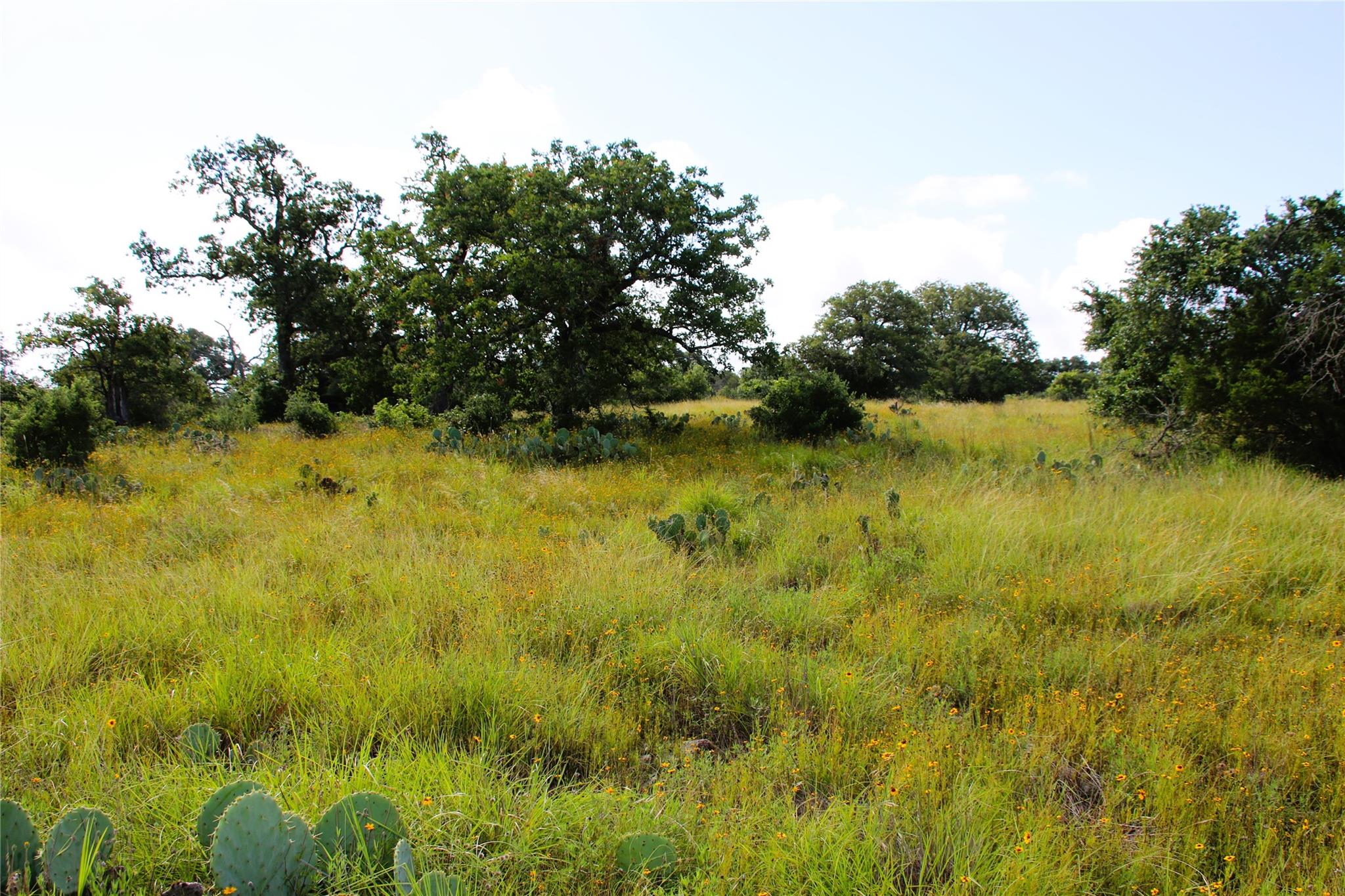 Lot 5 Comanche Rdg Property Photo 6