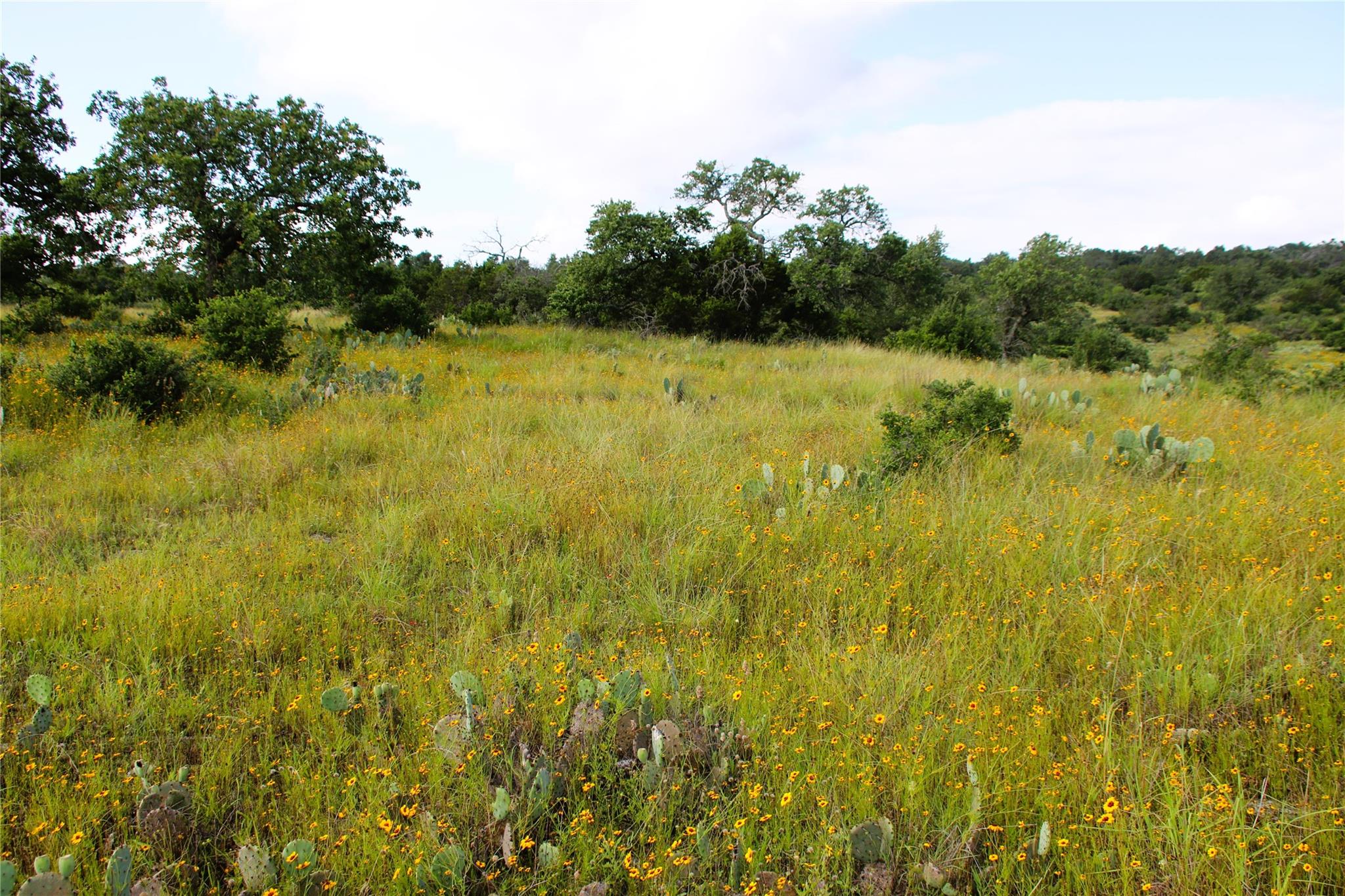 Lot 5 Comanche Rdg Property Photo 8