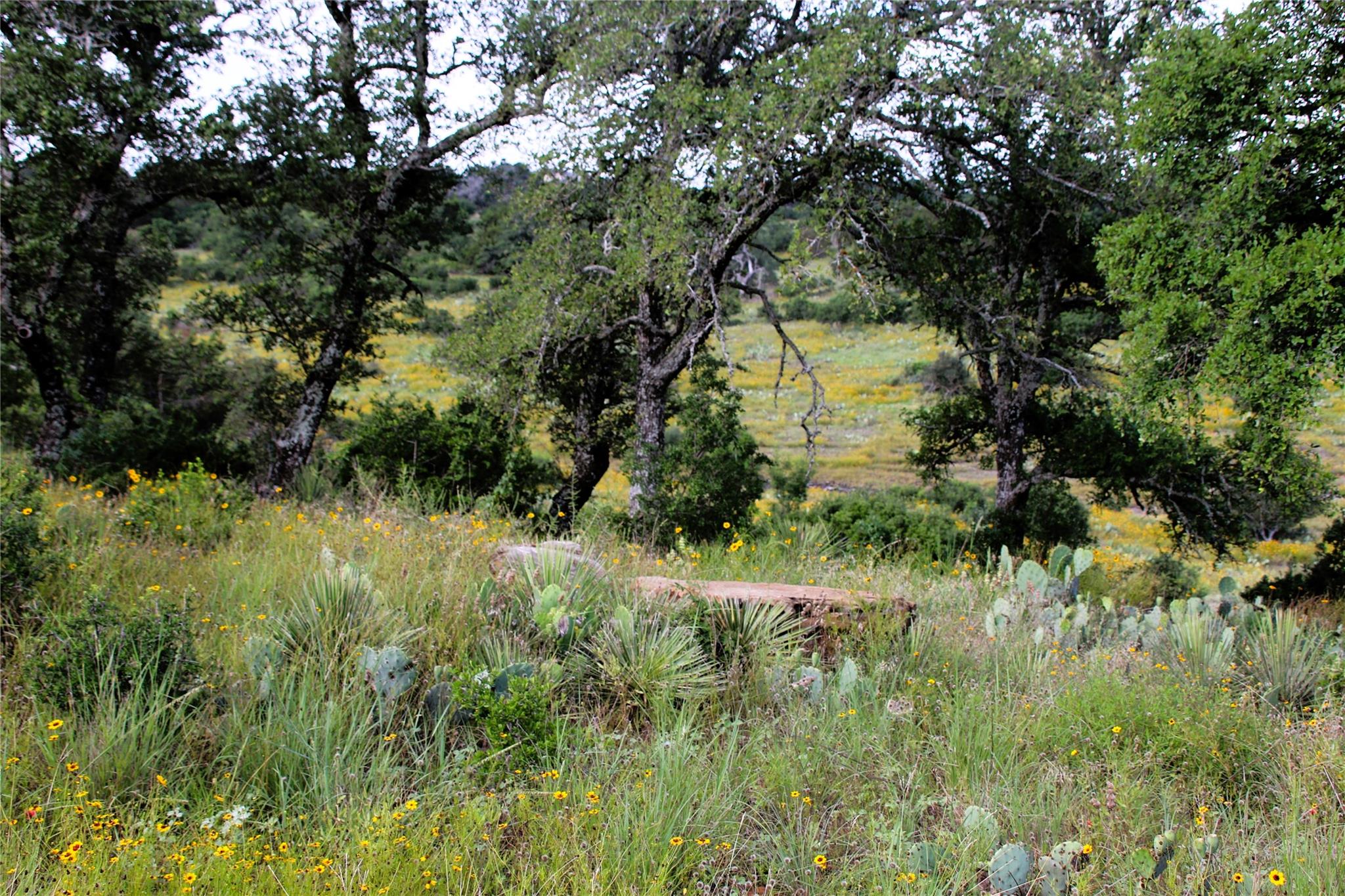 Lot 5 Comanche Rdg Property Photo 9